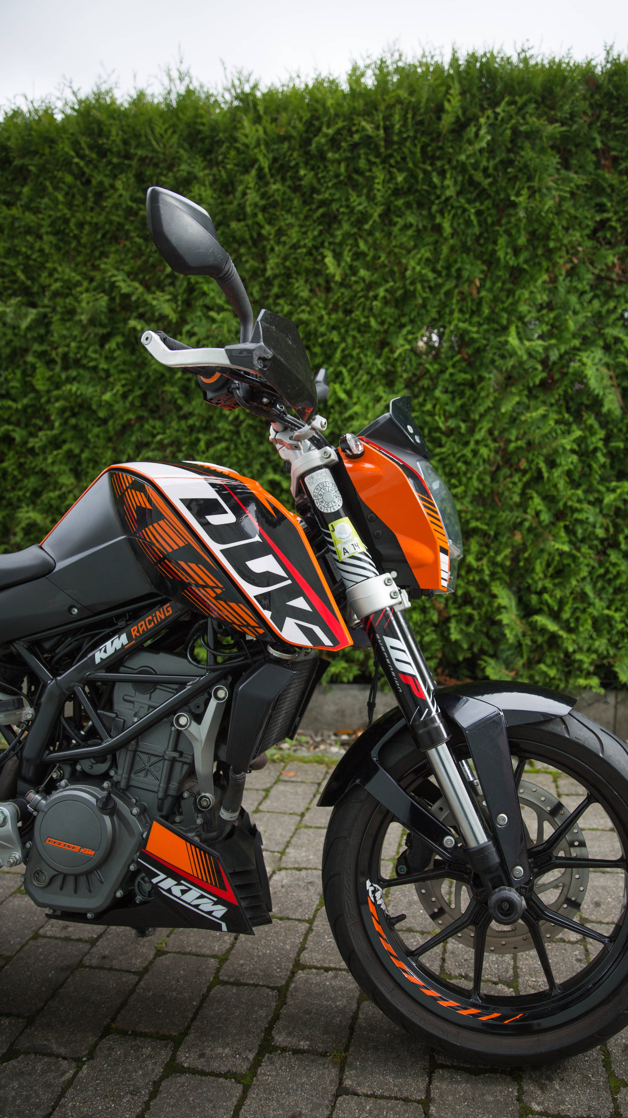 KTM 摩托車 桌布 壁紙 — 一輛時尚的KTM Duke機車，帶有橙色和黑色點綴，停放在石徑上，背景是茂密的綠色籬笆。