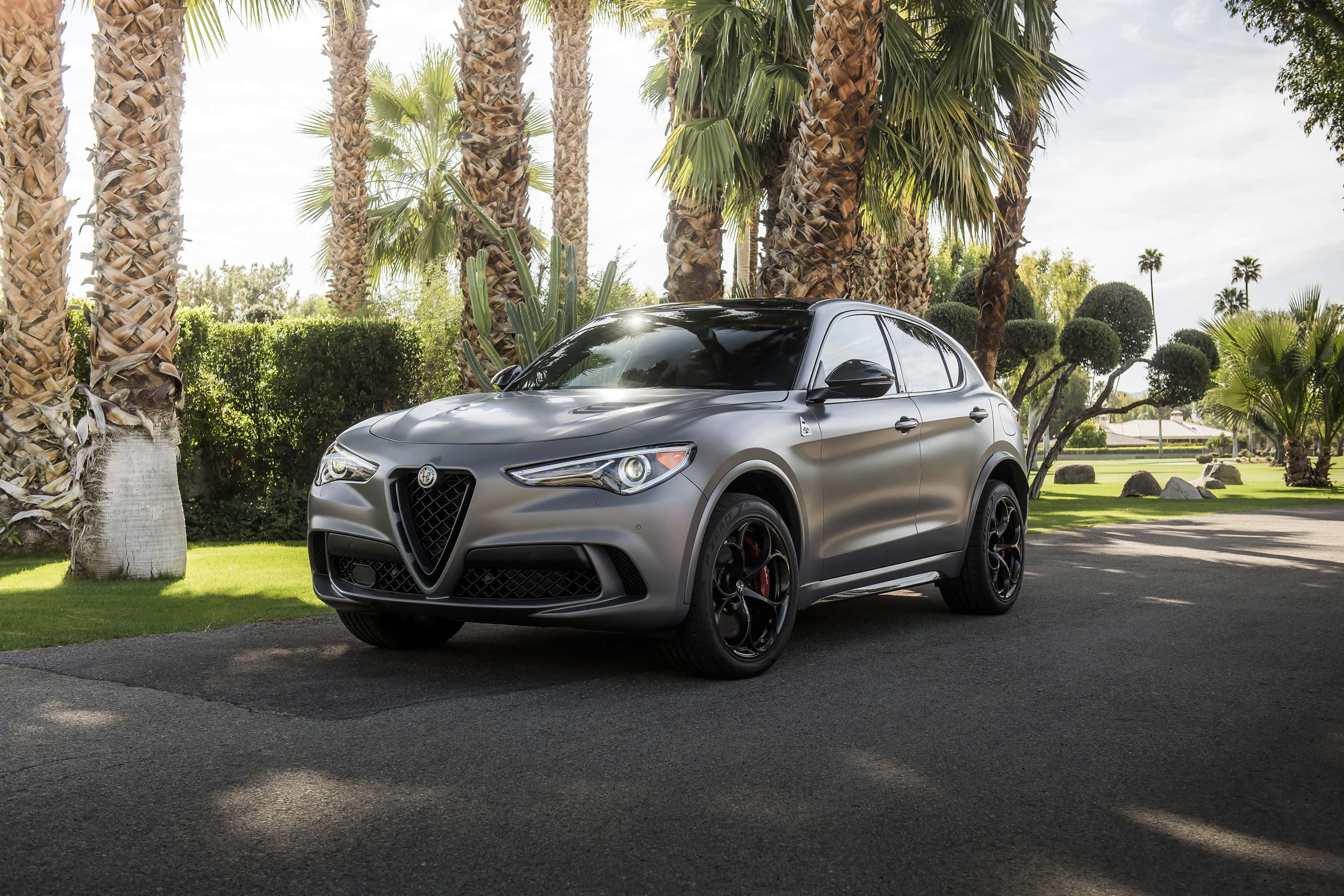 Alfa Romeo Stelvio 桌布 壁紙 — 一輛時尚的啞光灰色 Alfa Romeo SUV 停放在鋪砌的車道上，周圍環繞著高大的棕櫚樹和修剪整齊的樹籬，在明亮的日光下。