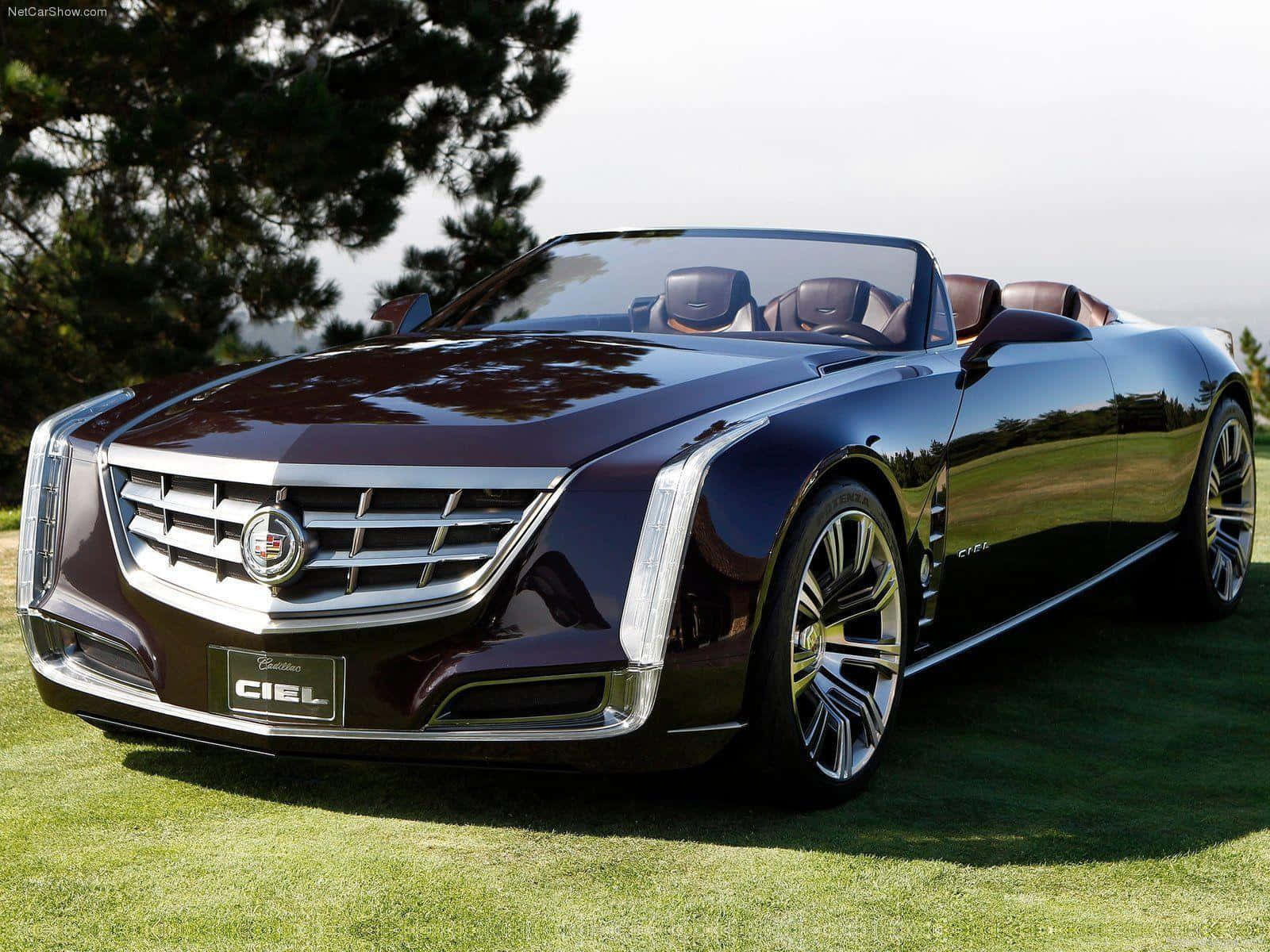 凱迪拉克 桌布 壁紙 — 一輛時尚的栗色Cadillac Ciel敞篷車在日光下閃耀，停在修剪整齊的綠色草坪上，背景有樹木。