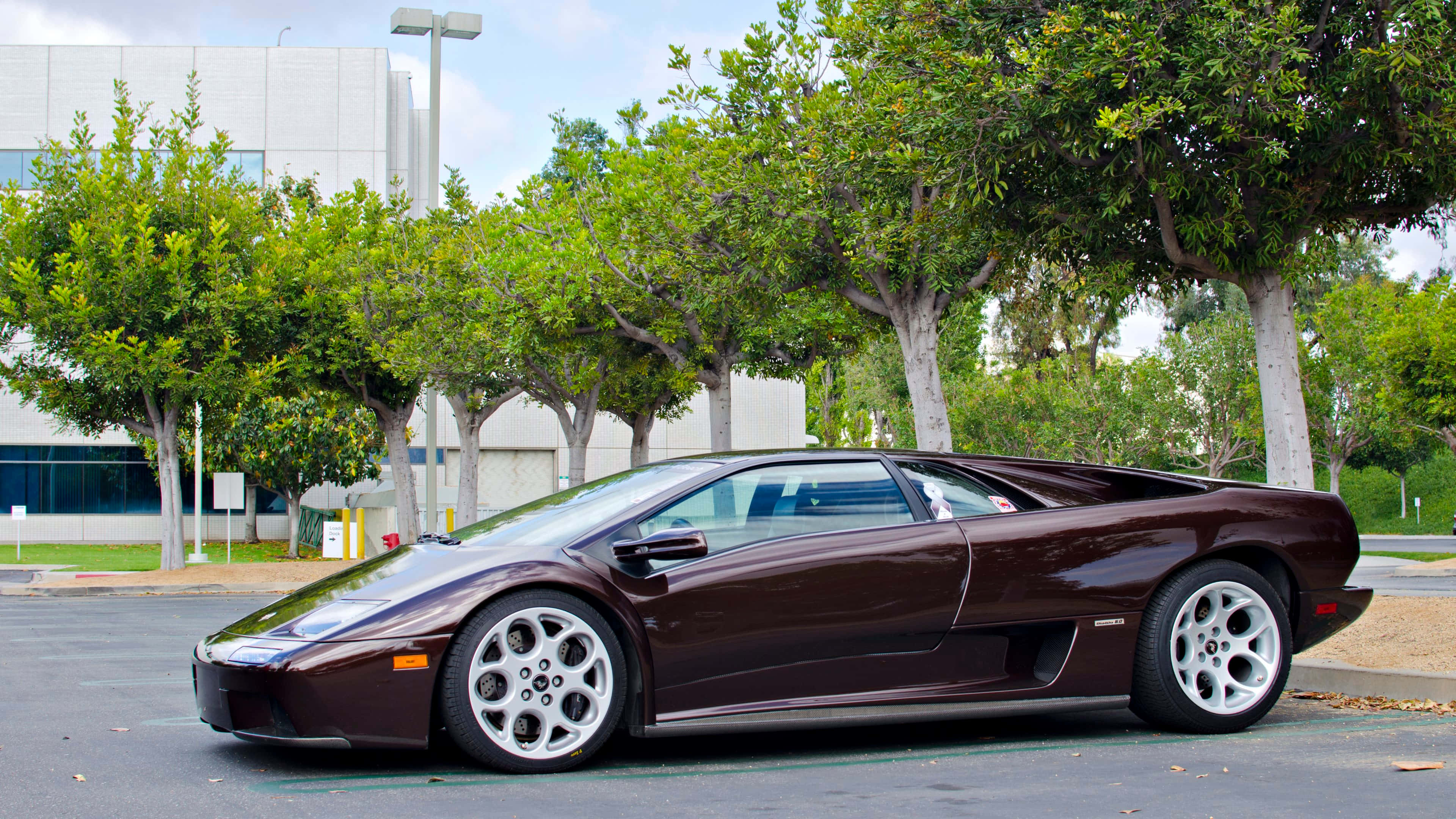 Lamborghini Diablo 桌布 壁紙 — 一輛時尚的栗色藍寶堅尼 Diablo 停放在樹木成行的城市地段，在明亮的日光下。