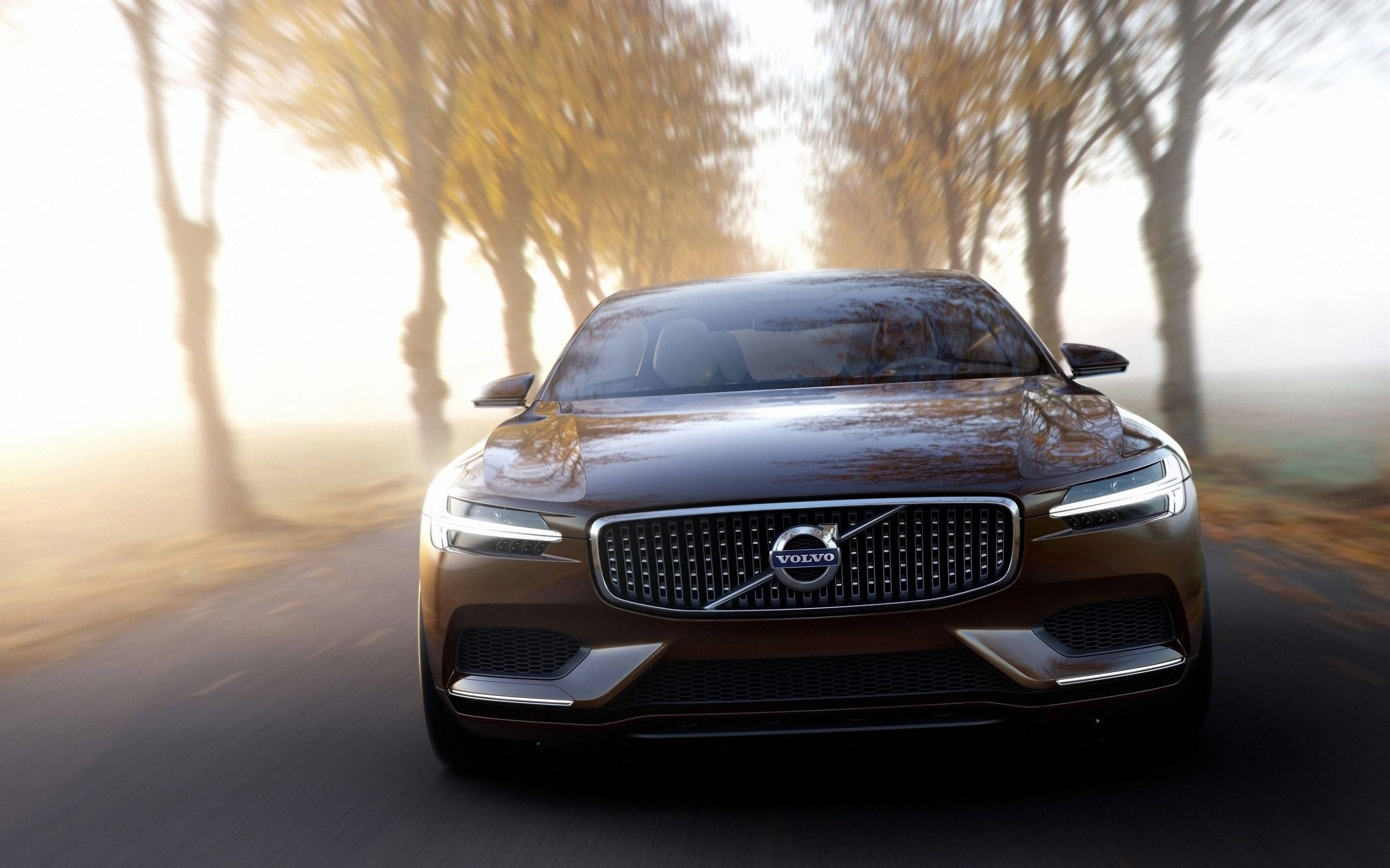 Volvo 桌布 壁紙 — 一輛時尚的棕色富豪汽車在日出時沿著一條霧氣瀰漫、兩旁種滿金色秋樹的道路行駛。