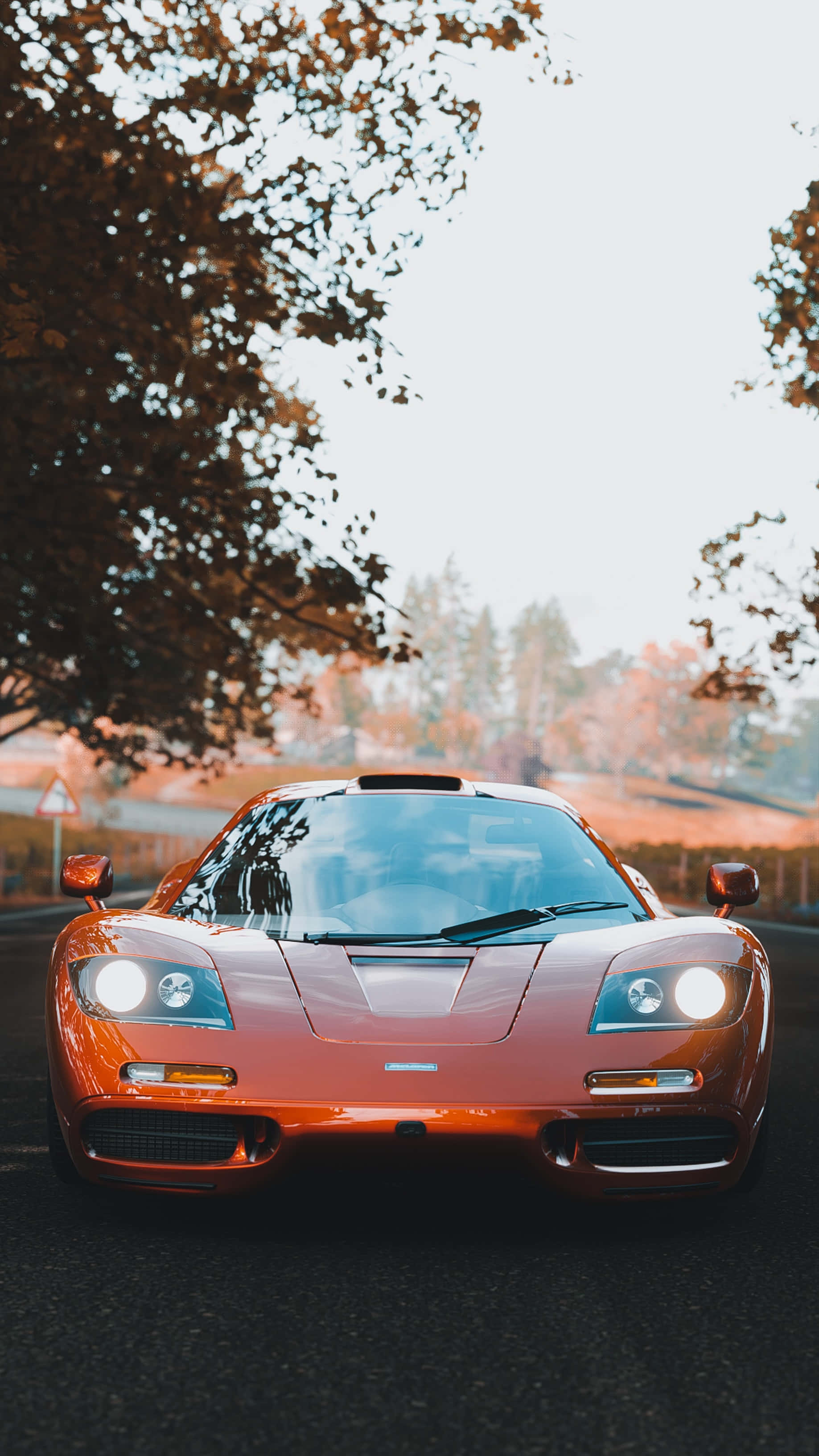 Cool Mclaren 桌布 壁紙 — 一輛時尚的橙色McLaren F1跑車在金色樹枝環繞的溫暖秋光下閃閃發光。