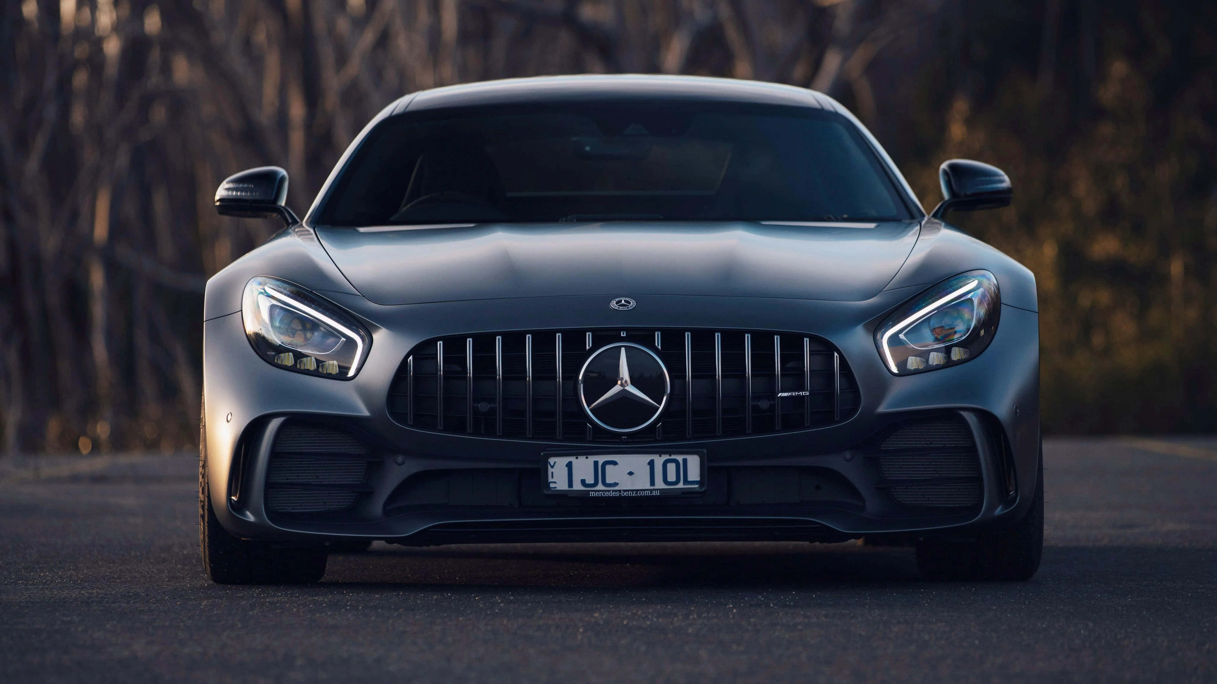 Mercedes 桌布 壁紙 — 一輛時尚的消光灰色Mercedes-AMG GT跑車在黃金時段面向前方，背景是光禿禿的樹木。