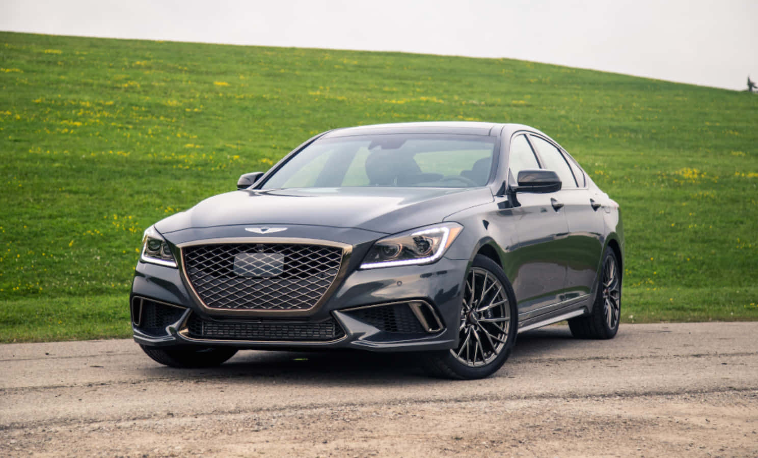 創世紀 桌布 壁紙 — 一輛時尚的深灰色 Genesis G70 運動轎車停在碎石路上，背景是充滿活力的綠色草坡，點綴著黃色花朵。