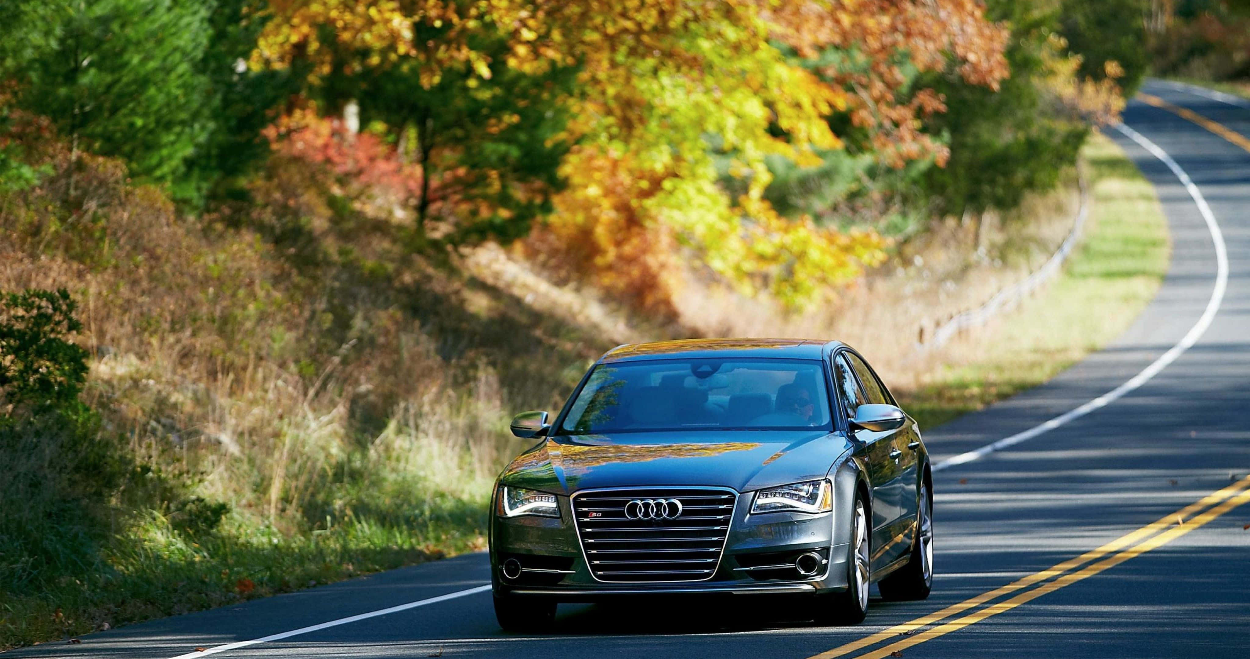 Audi S8 桌布 壁紙 — 一輛時尚的深灰色奧迪轎車行駛在一條蜿蜒的秋季道路上，兩旁是充滿活力的黃色和橙色樹葉。