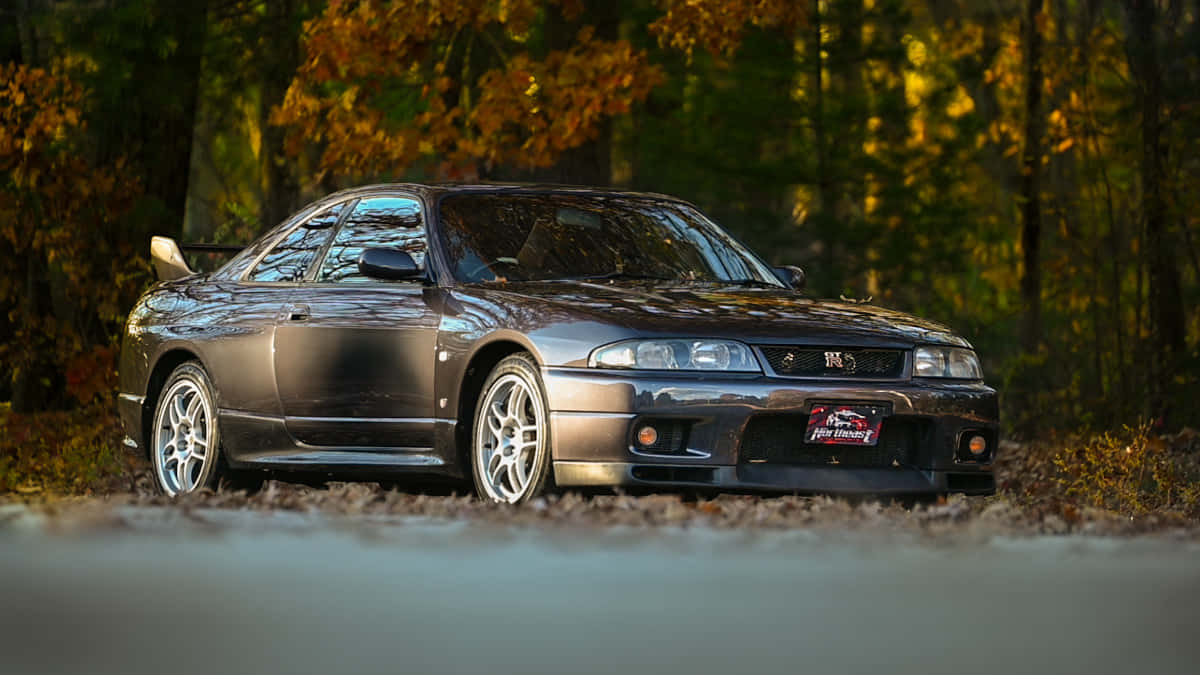 R33 GT-R 桌布 壁紙 — 一輛時尚的深灰色日產Skyline GT-R停泊在被金色秋葉環繞的森林道路上。