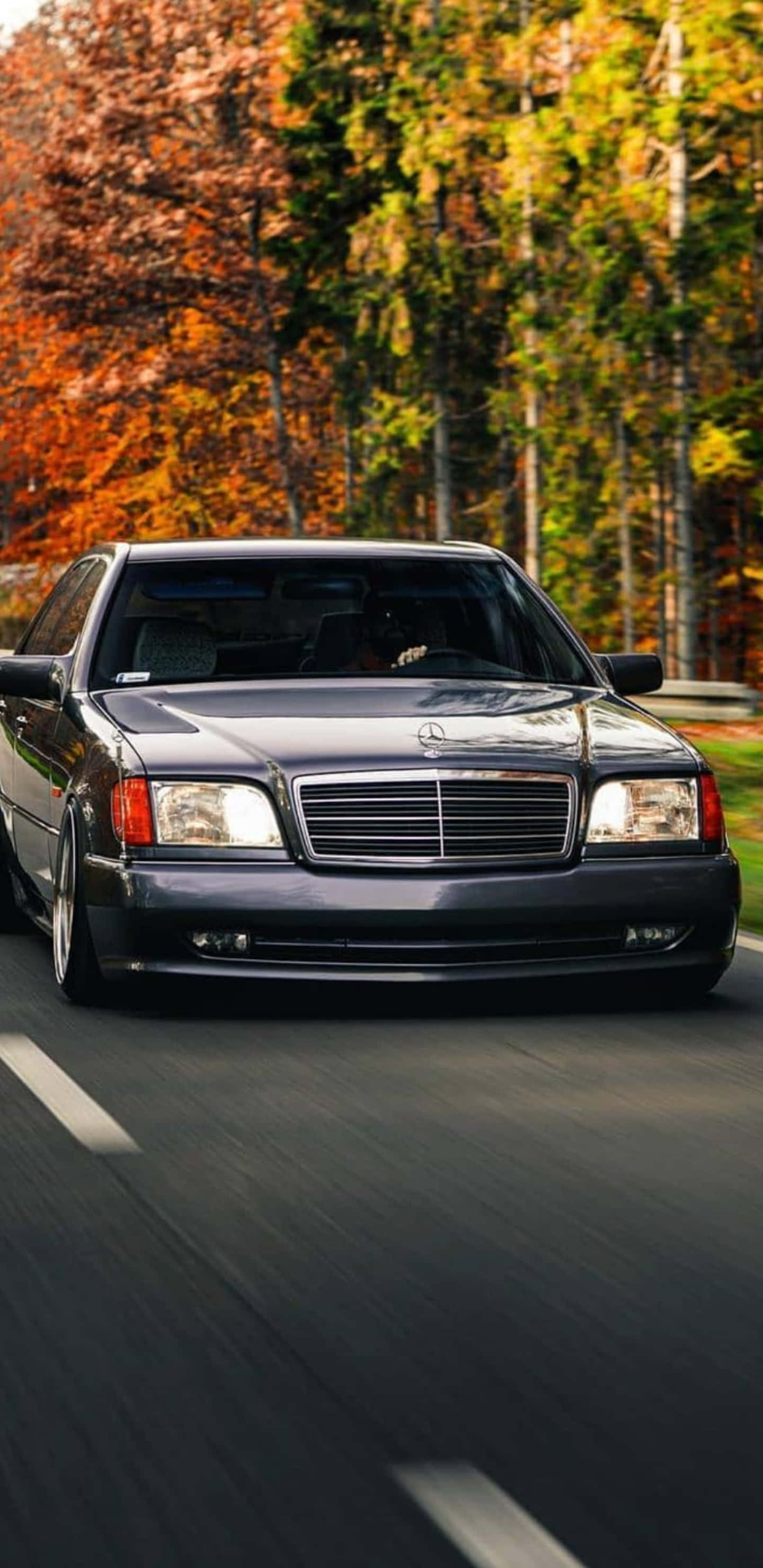 Mercedes Benz Car 桌布 壁紙 — 一輛時尚的深灰色梅賽德斯轎車在色彩繽紛的秋葉環繞的林間道路上飛馳。