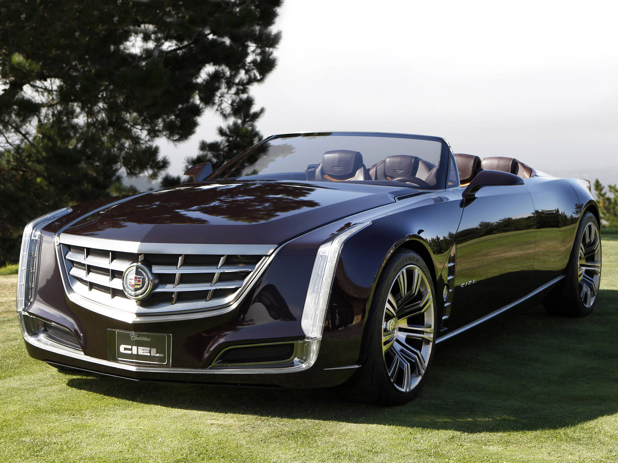凱迪拉克 iPhone 桌布 壁紙 — 一輛時尚的深紫色Cadillac Ciel敞篷車停在茂密的綠色草地上，背景有樹木，在明亮的日光下。