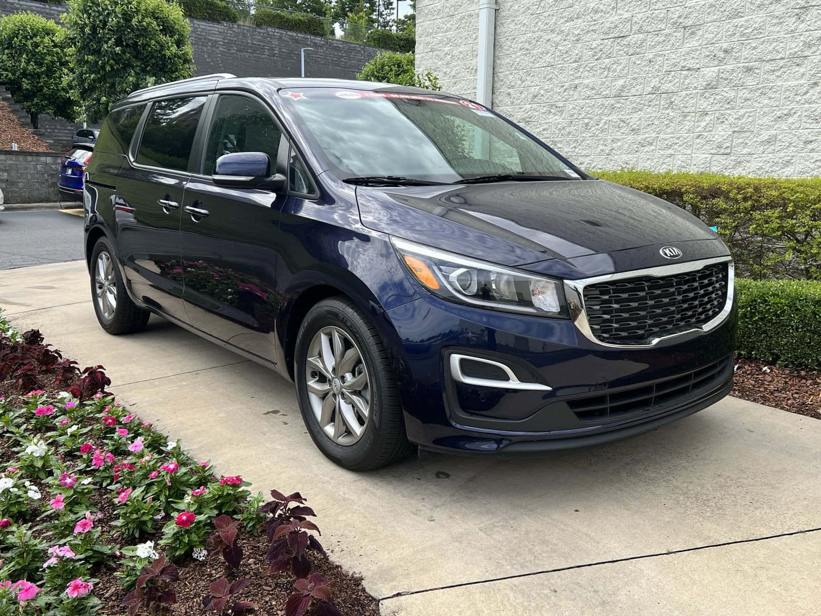 Kia Sedona 桌布 壁紙 — 一輛時尚的深藍色Kia小型貨車停在混凝土車道上，旁邊是充滿活力的花壇，開著粉紅色和白色的花朵。