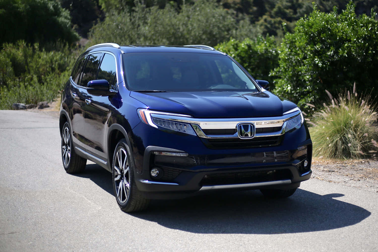 Honda Pilot 桌布 壁紙 — 一輛時尚的深藍色本田Pilot SUV停放在陽光明媚的瀝青路上，周圍環繞著茂密的綠色灌木和樹木。