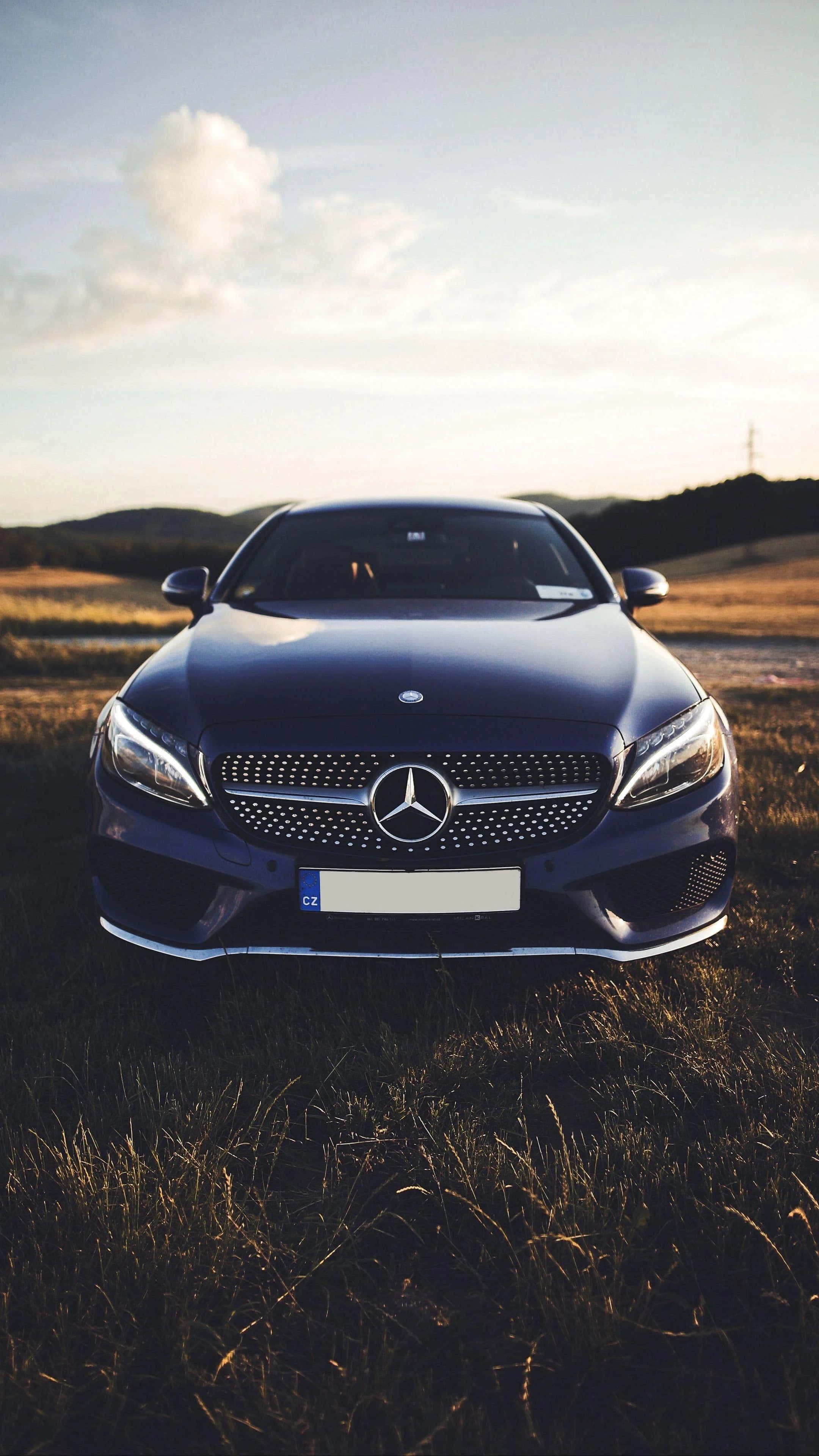 Mercedes 桌布 壁紙 — 一輛時尚的深藍色賓士轎車停在高高的金色草叢中，背景是柔和的日落天空。