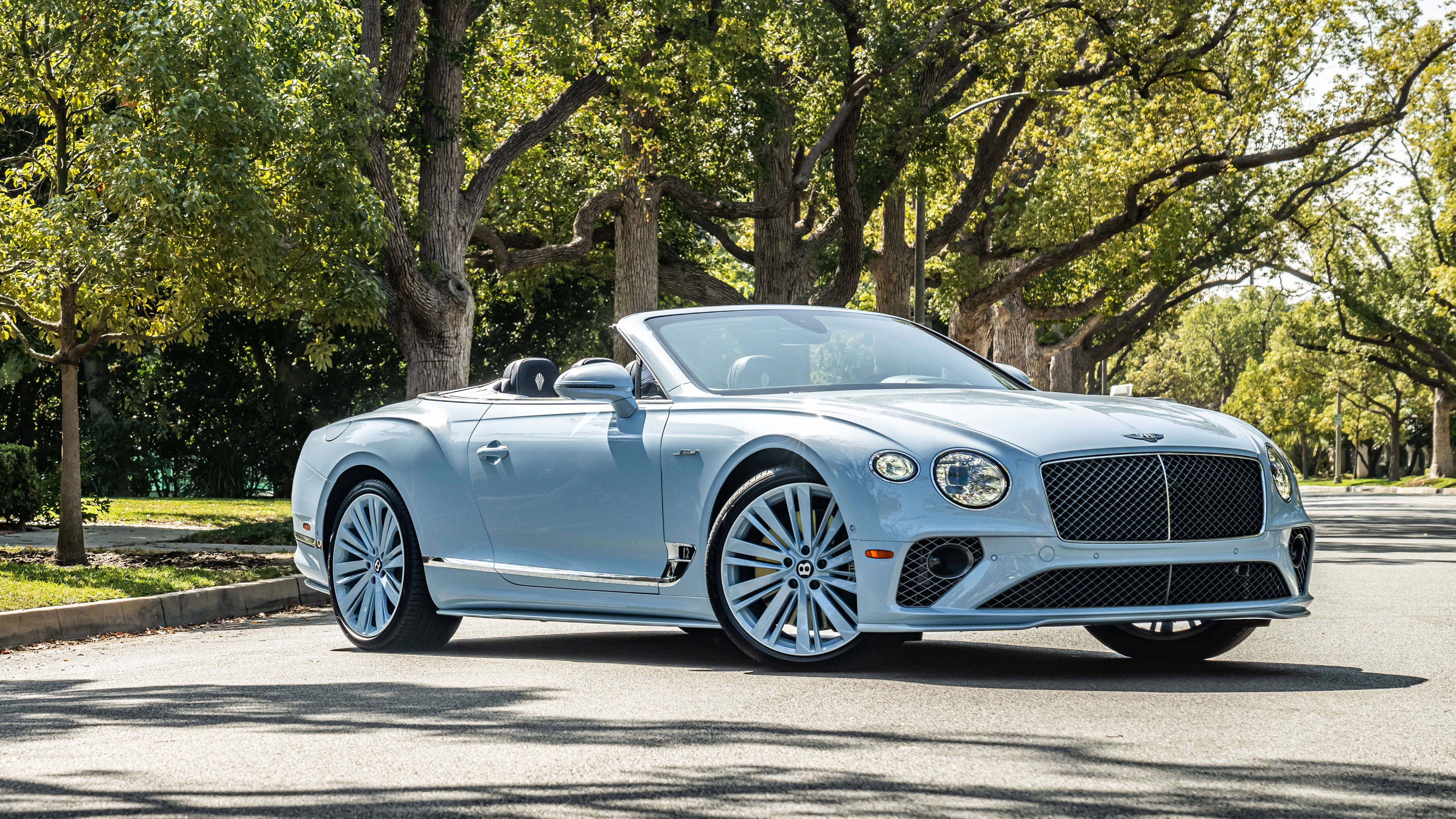 bentley HD 桌布 壁紙 — 一輛時尚的淺藍色賓利敞篷車停泊在斑駁的陽光下，陽光透過茂密的綠樹篩落。