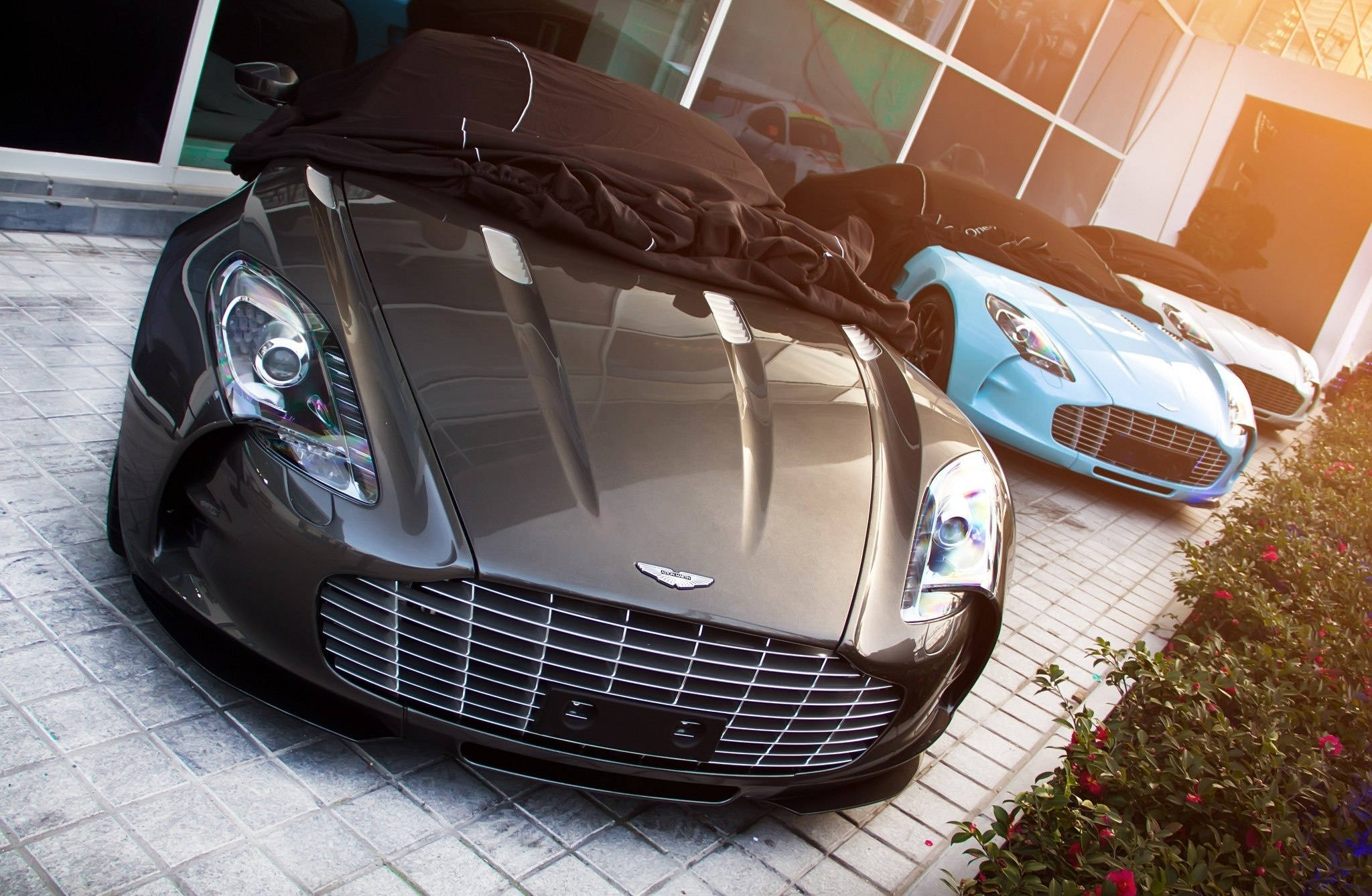 奧斯頓馬丁 桌布 壁紙 — 一輛時尚的灰色 Aston Martin 帶有黑色車罩，停在瓷磚車道上，旁邊是一輛藍色跑車，沐浴在溫暖的金色陽光下。