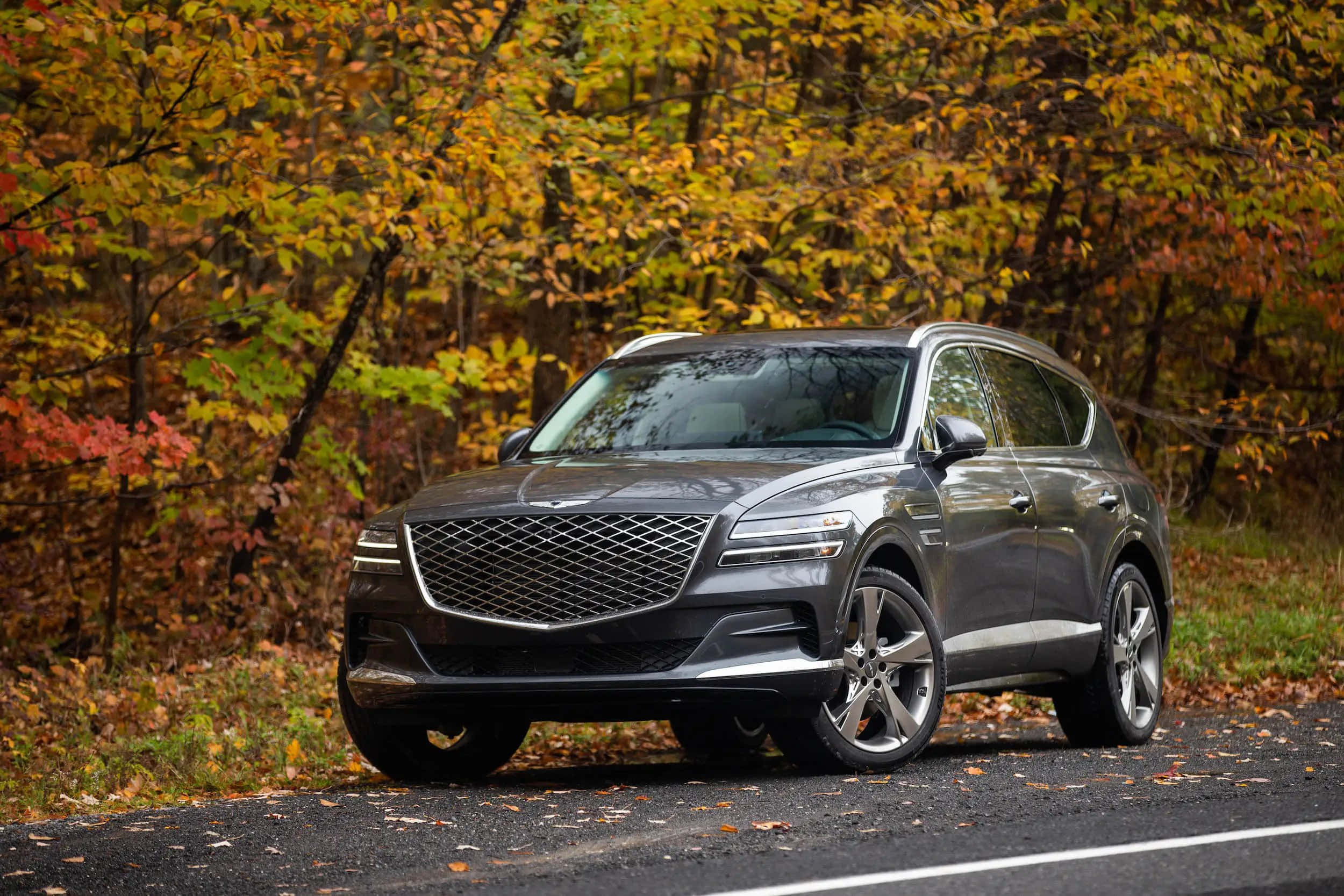 創世紀 桌布 壁紙 — 一輛時尚的灰色 Genesis GV80 SUV 停泊在森林道路上，周圍是充滿活力的秋葉。