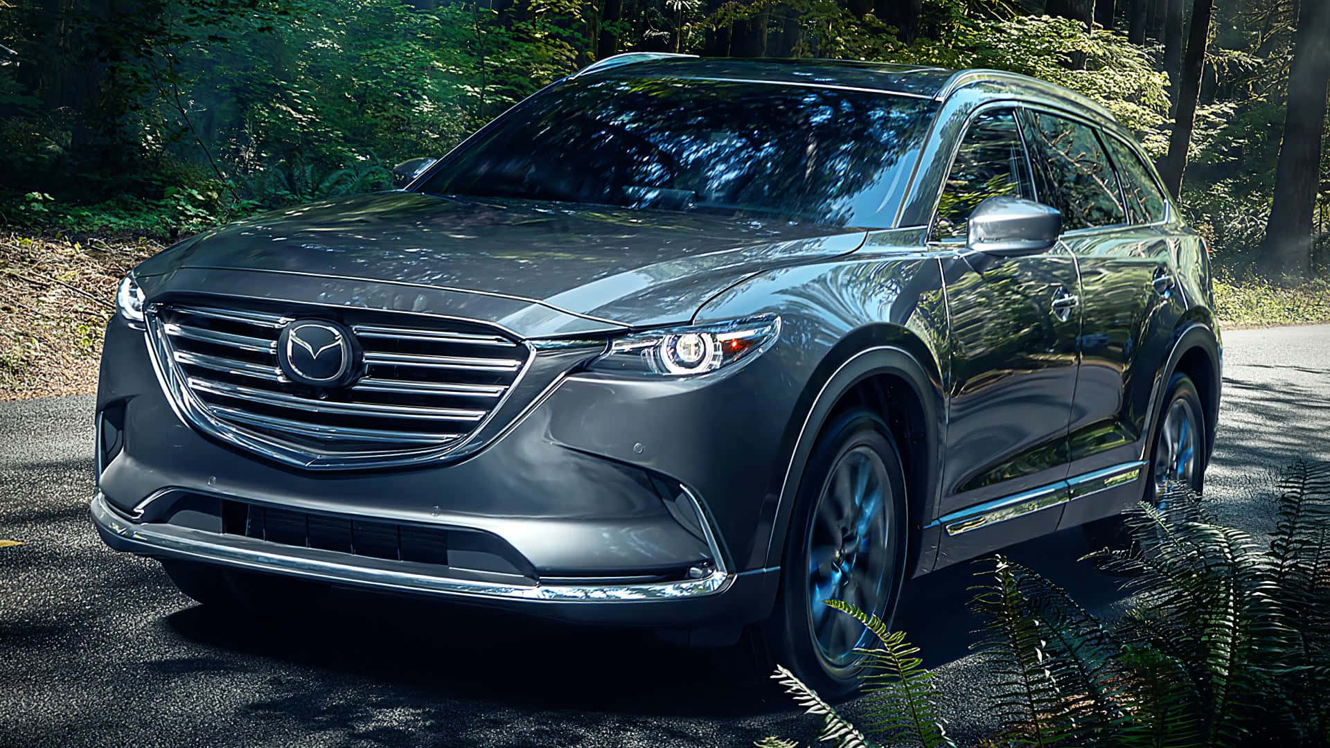 Mazda Cx-9 桌布 壁紙 — 一輛時尚的灰色Mazda CX-9 SUV停泊在森林道路上，斑駁的陽光穿過樹木灑落。