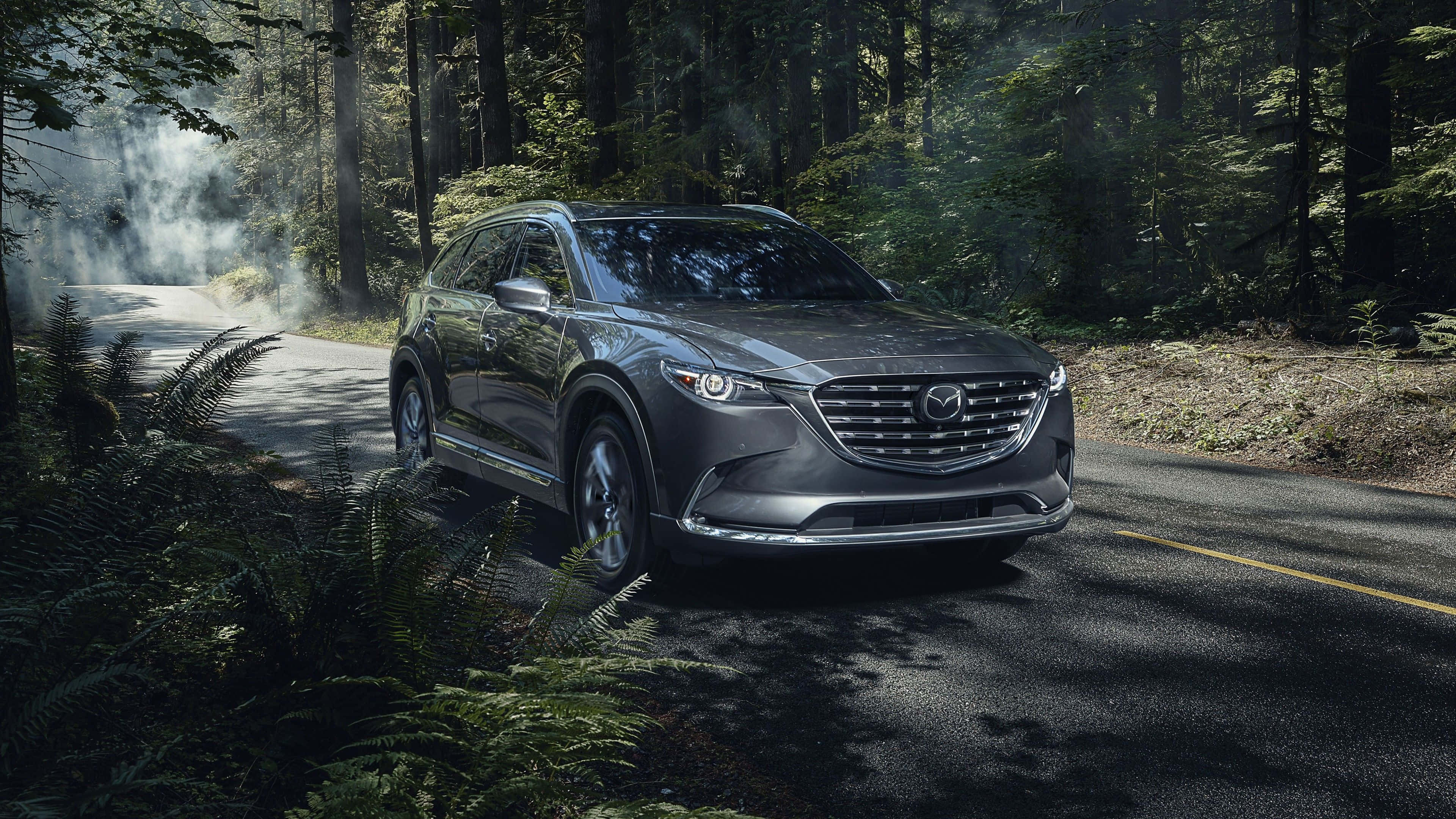 Mazda Cx-9 桌布 壁紙 — 一輛時尚的灰色SUV行駛在被高大樹木和蕨類植物環繞的霧氣森林道路上。