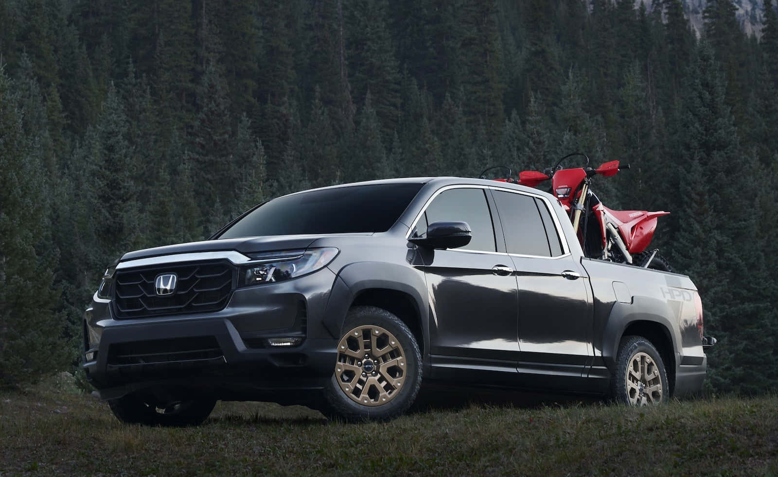 Honda Ridgeline 桌布 壁紙 — 一輛時尚的灰色本田皮卡車配金色輪圈，載著一輛紅色越野機車穿過茂密的松樹林。