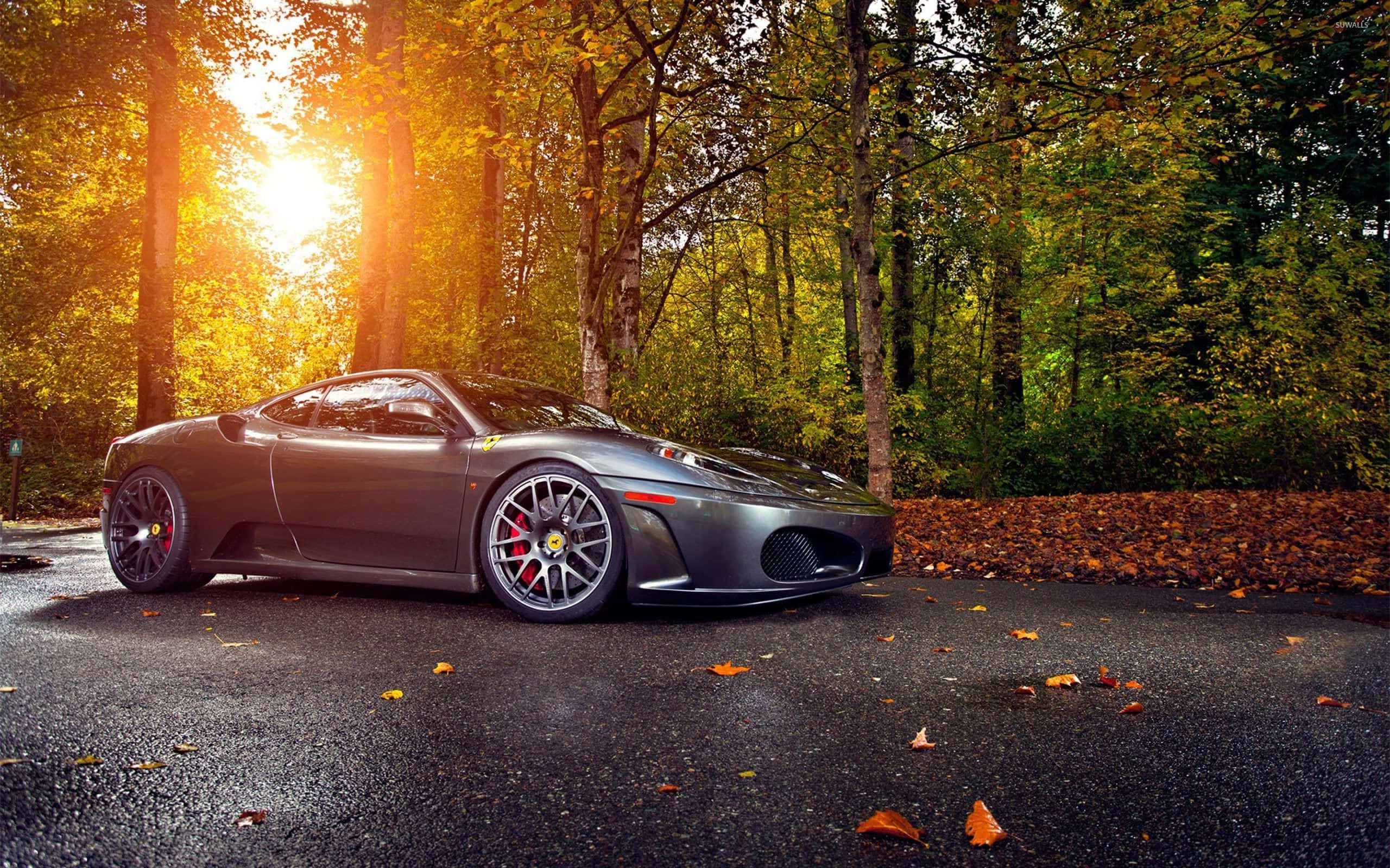 Ferrari F430 桌布 壁紙 — 一輛時尚的灰色法拉利跑車停在濕漉漉的森林道路上，金色陽光穿過秋天的樹木灑落。