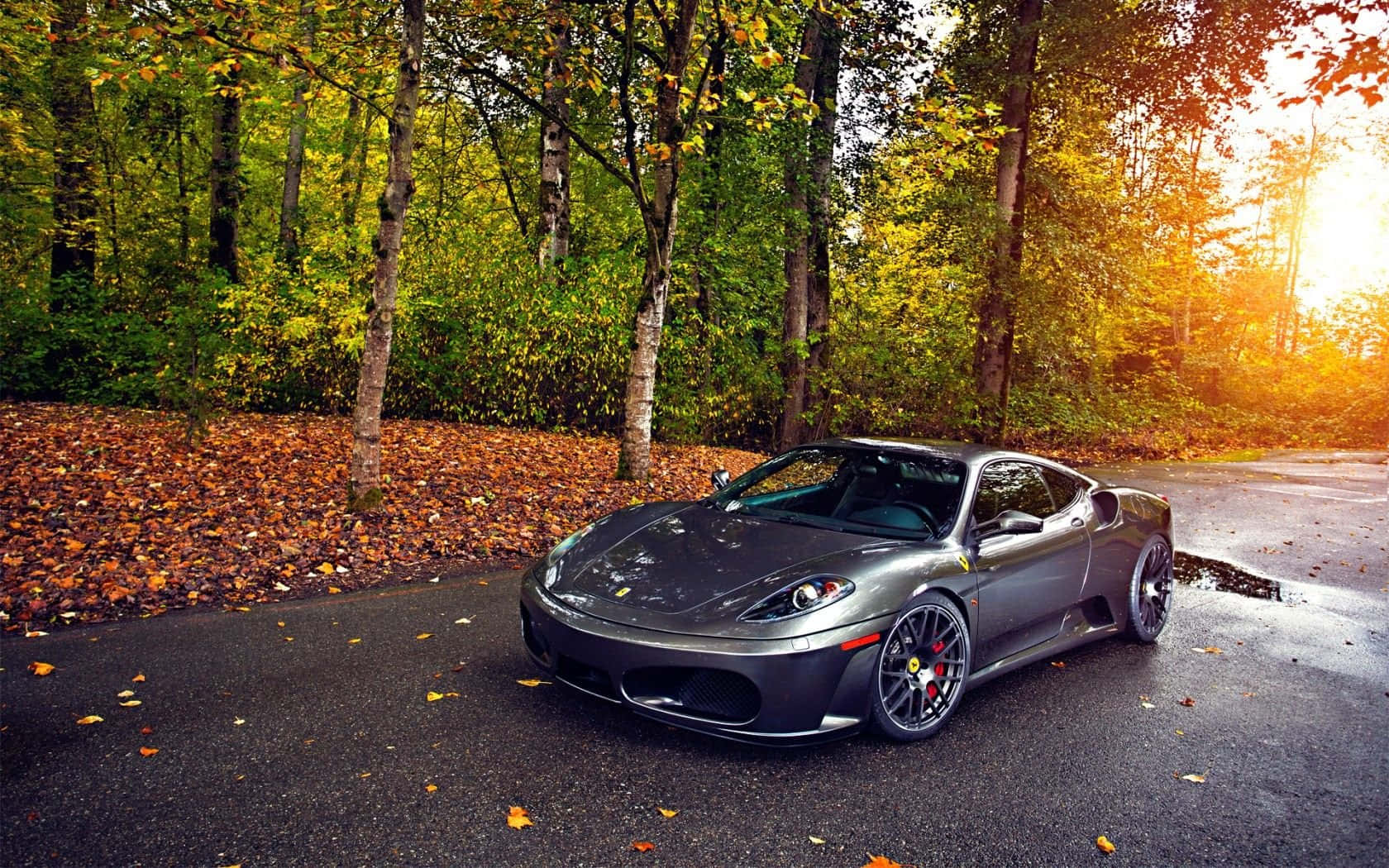 Ferrari F430 桌布 壁紙 — 一輛時尚的灰色法拉利跑車停泊在濕潤的森林道路上，金色秋日陽光穿過樹木灑落。