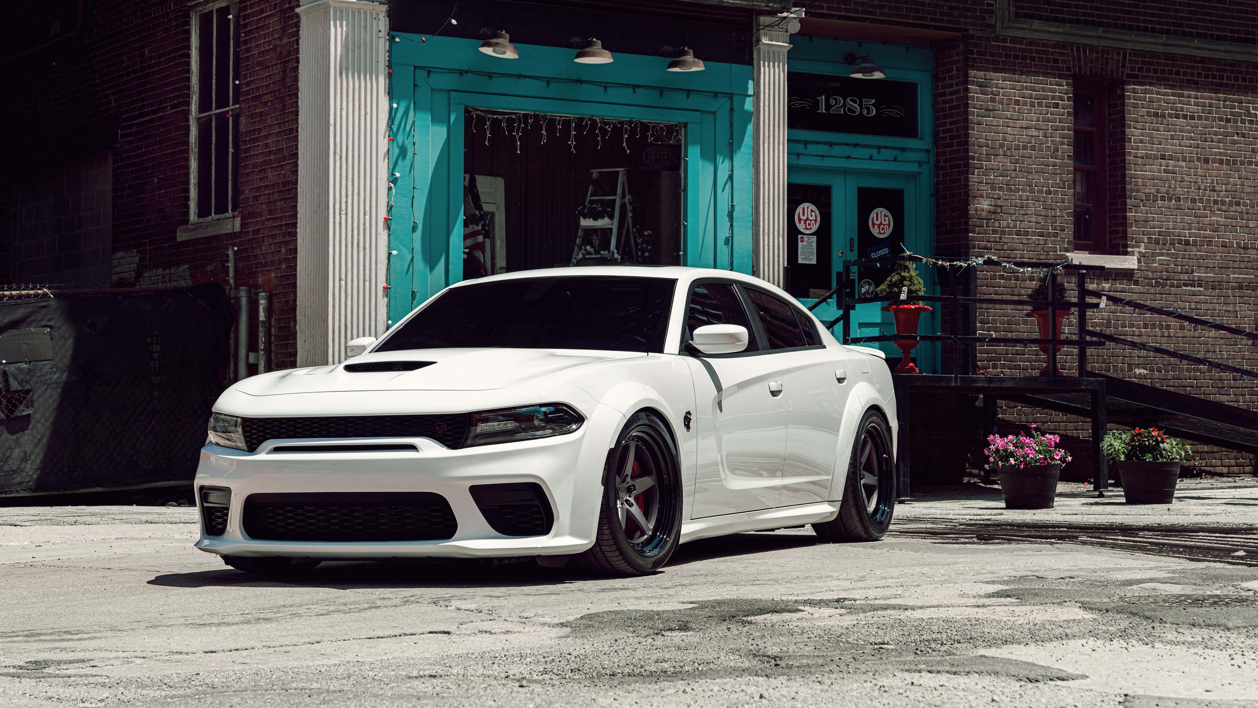 Dodge 桌布 壁紙 — 一輛時尚的白色 Dodge Charger 停放在充滿活力的藍綠色店面前，店面有磚牆和盆栽花卉。