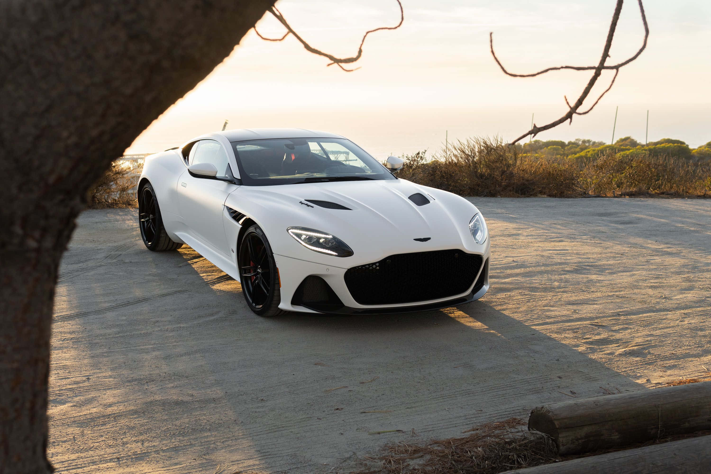 奧斯頓馬丁 桌布 壁紙 — 一輛時尚的白色Aston Martin跑車停泊在陽光普照的混凝土小徑上，周圍環繞著樹枝和乾燥的灌木。