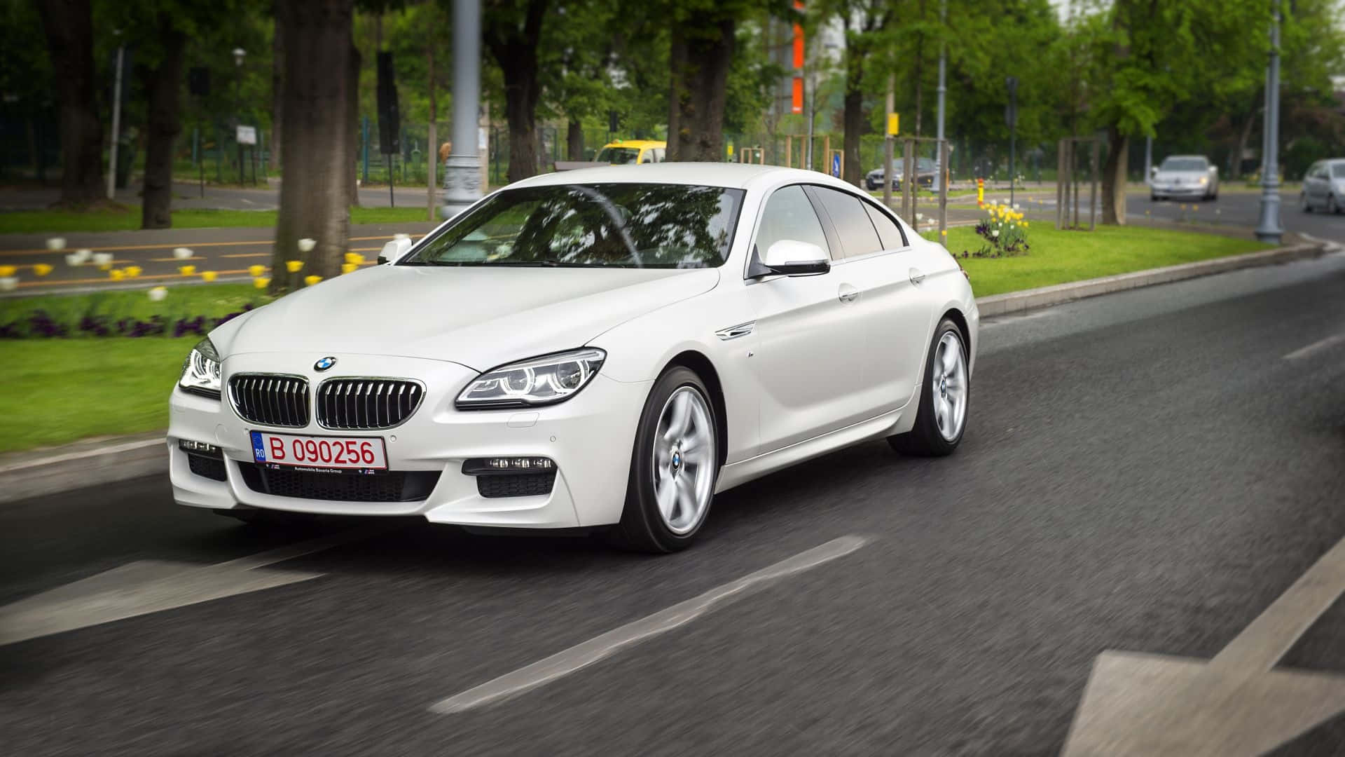 Bmw 6 Series 桌布 壁紙 — 一輛時尚的白色BMW 6系列轎跑車在綠草和黃花點綴的林蔭城市街道上平穩滑行。