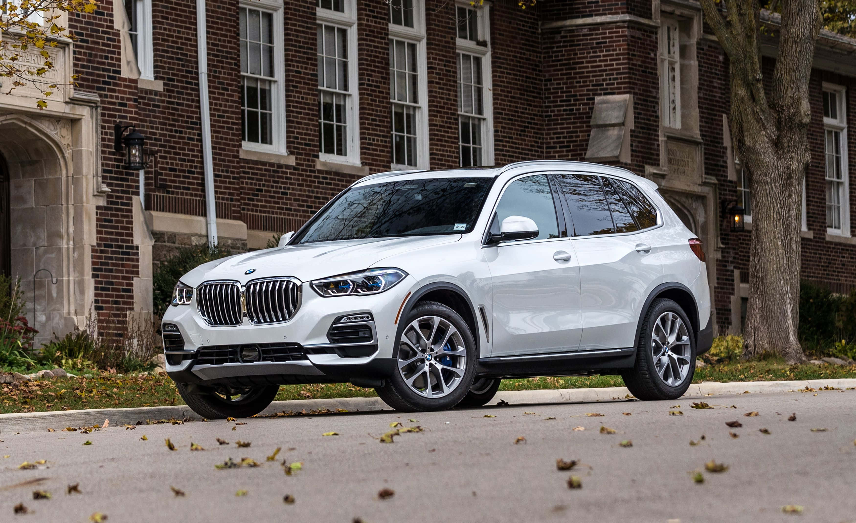 Bmw X5 桌布 壁紙 — 一輛時尚的白色BMW X5 SUV停泊在落葉滿佈的街道上，前面是一座經典的磚砌建築。