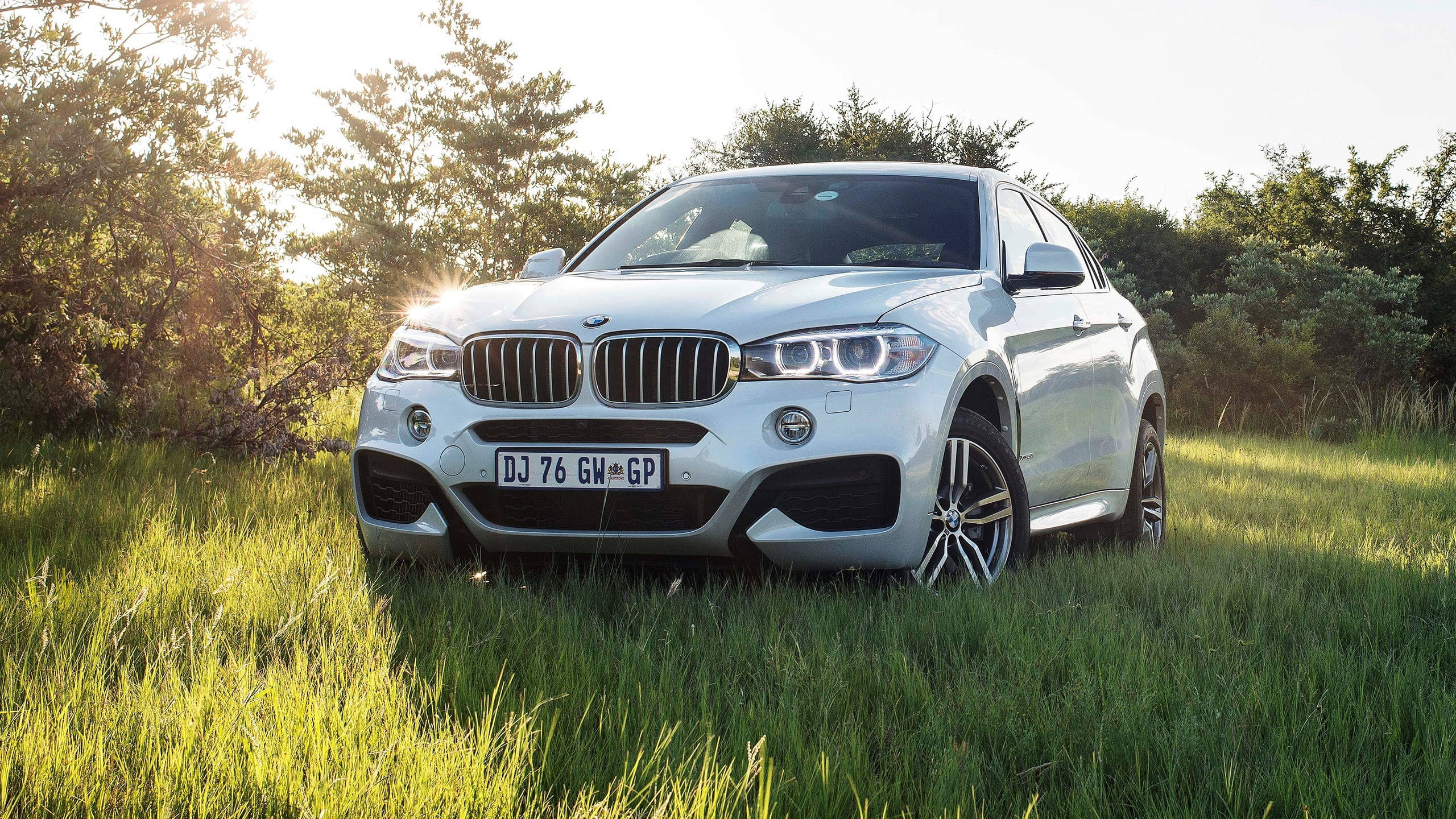 m 桌布 壁紙 — 一輛時尚的白色BMW X6 SUV停在高草叢中，陽光穿過後面的樹木灑落下來。