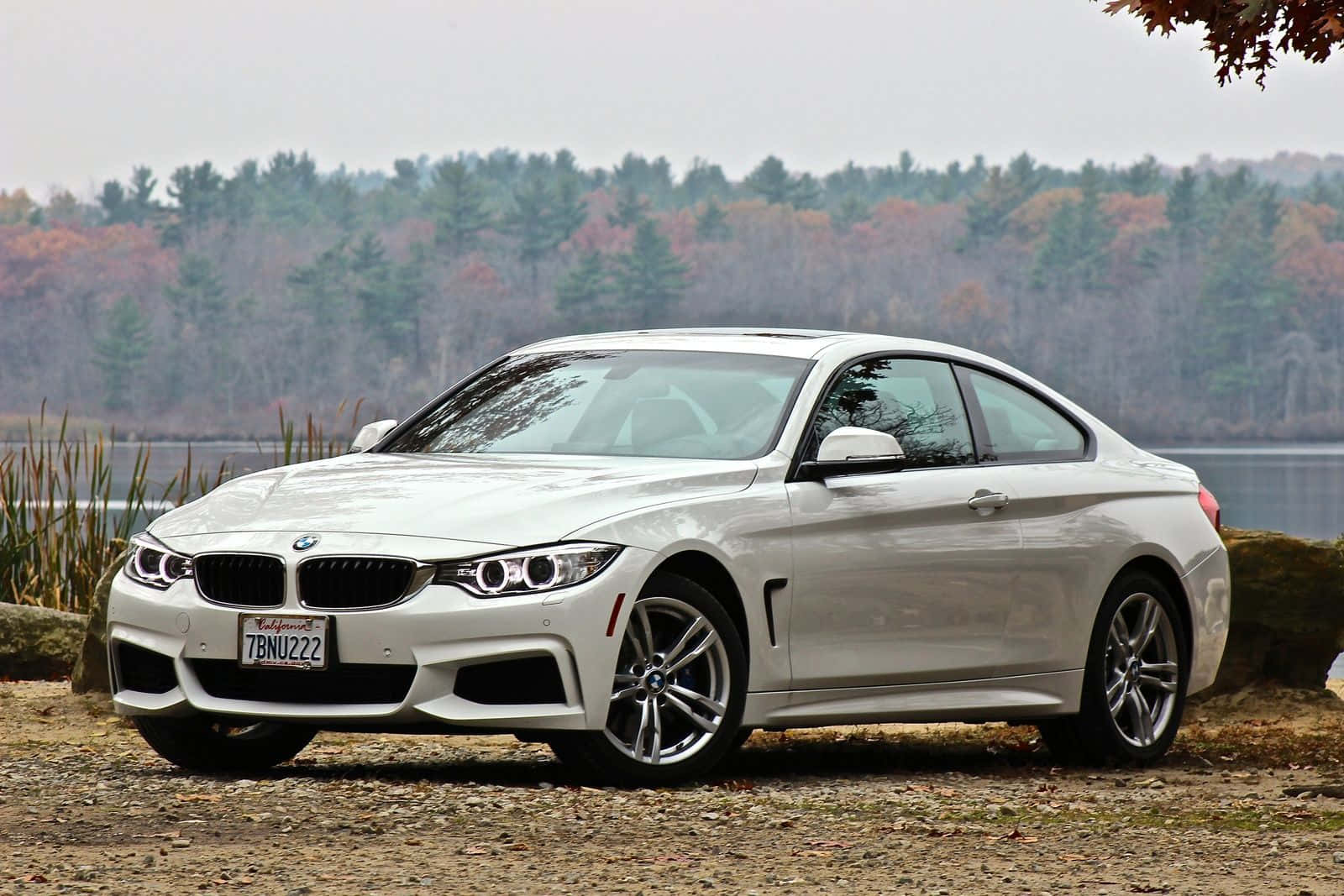Bmw 4 Series 桌布 壁紙 — 一輛時尚的白色BMW雙門轎跑車停在湖邊的碎石上，背景是秋日森林。