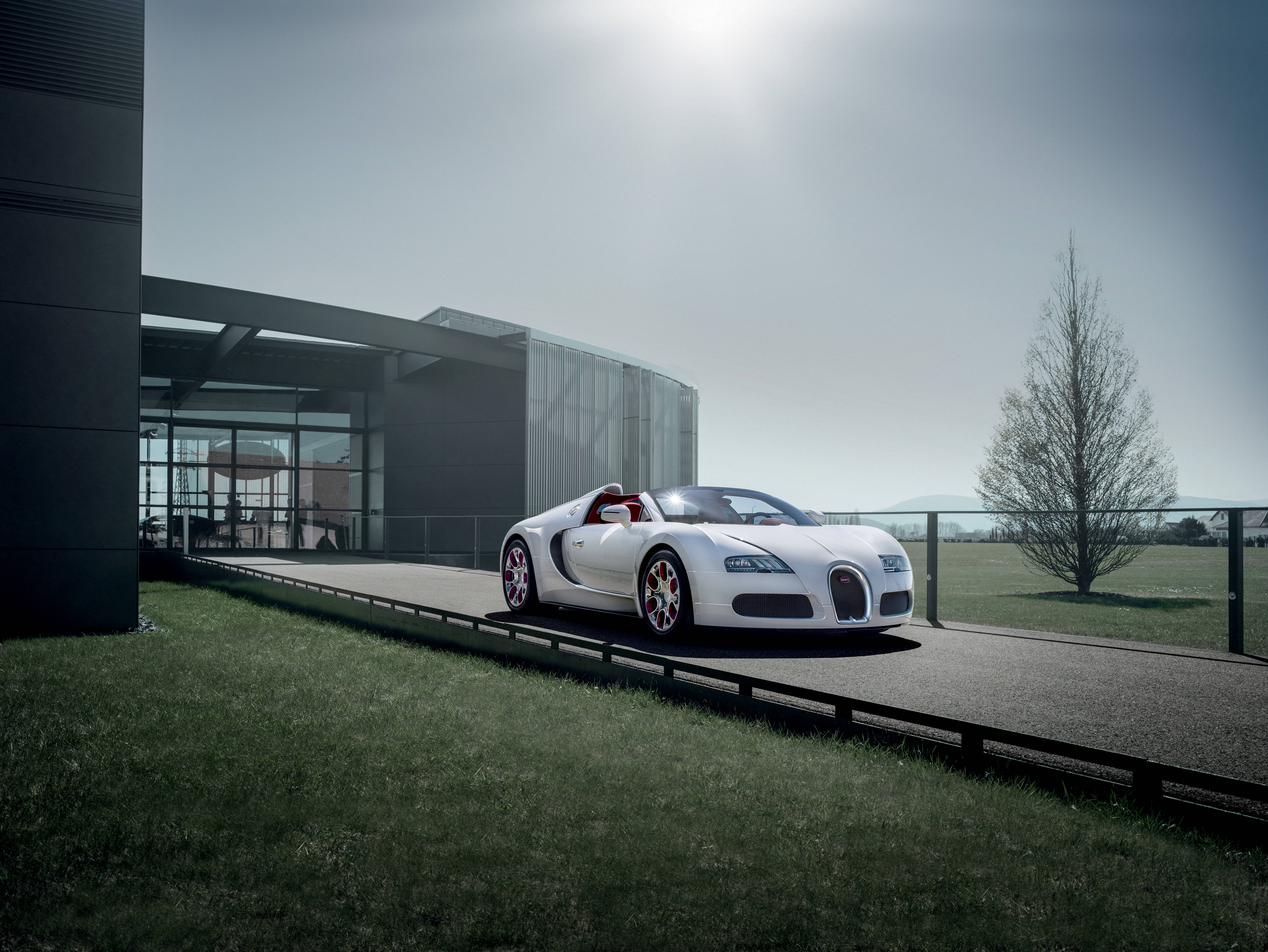 bugatti iPhone 桌布 壁紙 — 一輛時尚的白色Bugatti Veyron超級跑車停泊在現代建築旁邊的鋪砌小徑上，草地上有一棵光禿禿的樹，陽光明媚。