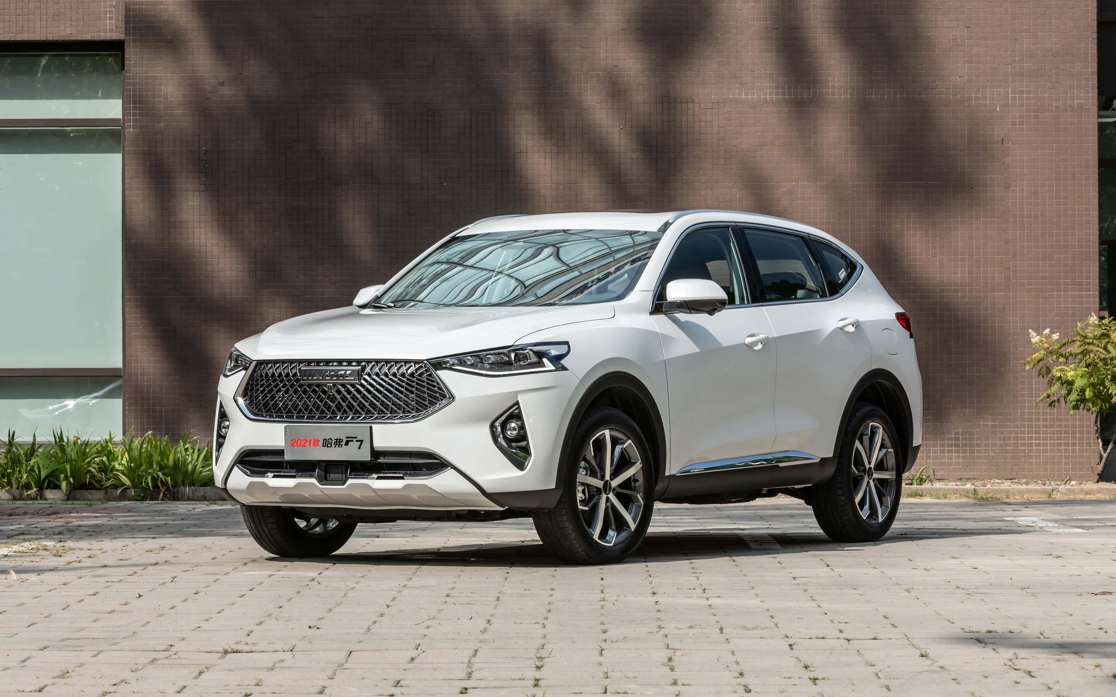 Haval 桌布 壁紙 — 一輛時尚的白色SUV停放在鋪砌的庭院中，斑駁的陽光在後面的磚牆上投下陰影。