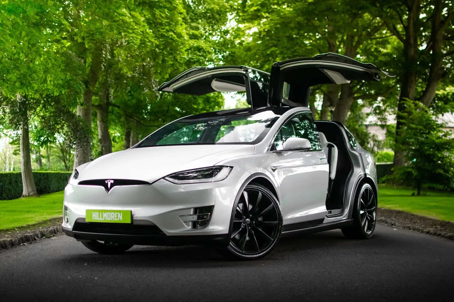 特斯拉 桌布 壁紙 — 一輛時尚的白色Tesla Model X，鷹翼門打開，停在陽光普照、綠樹成蔭的車道上。