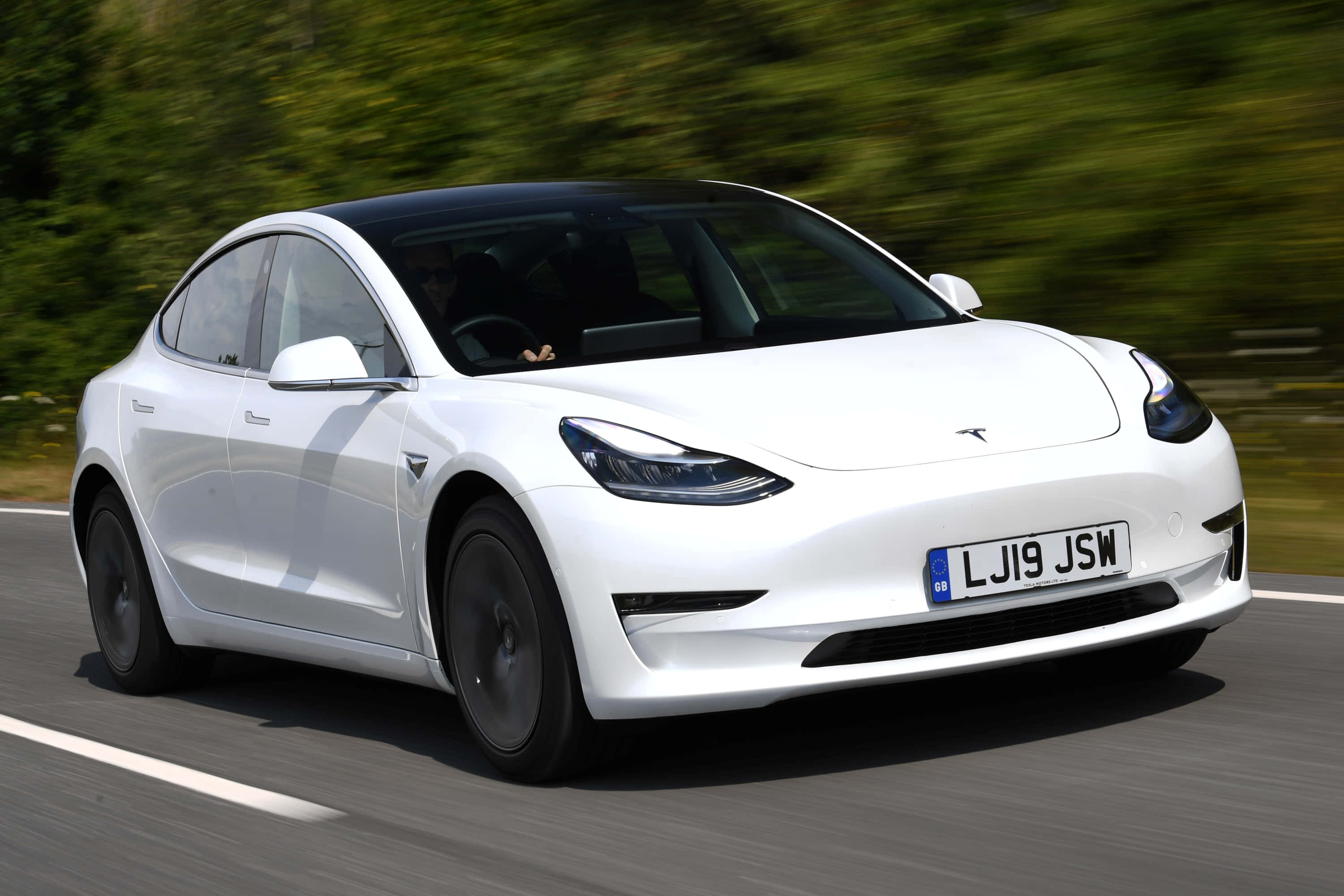 特斯拉 桌布 壁紙 — 一輛時尚的白色Tesla Model 3在陽光明媚的道路上行駛，模糊的綠色樹木飛馳而過。
