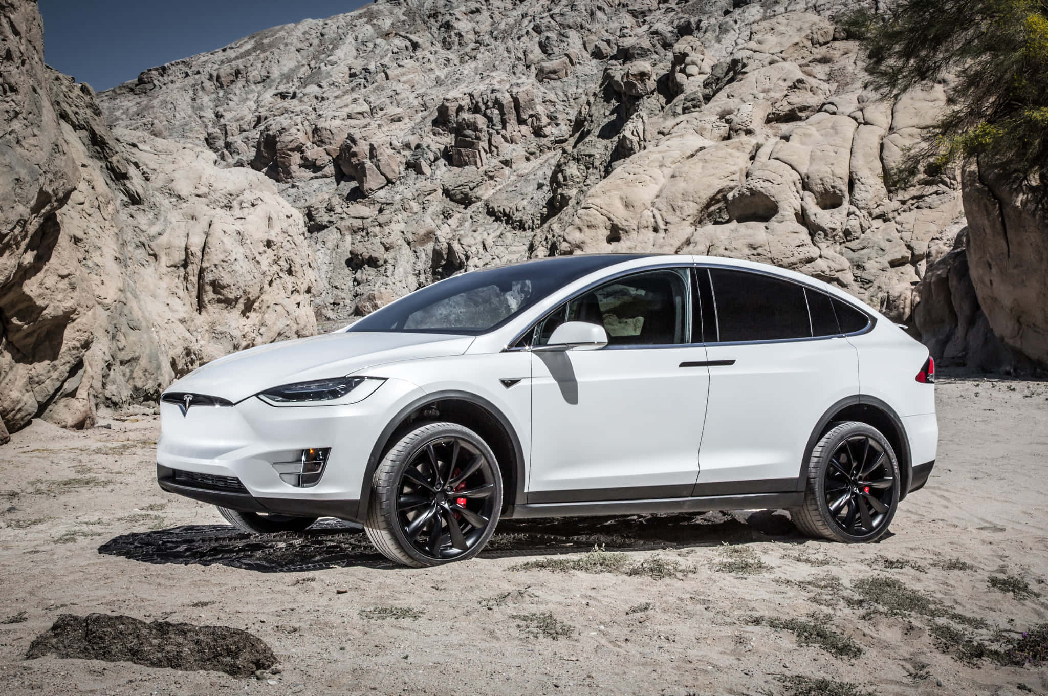 特斯拉 桌布 壁紙 — 一輛時尚的白色Tesla Model X配黑色輪胎，停泊在沙地上，背景是崎嶇的米色岩層，在明亮的日光下。