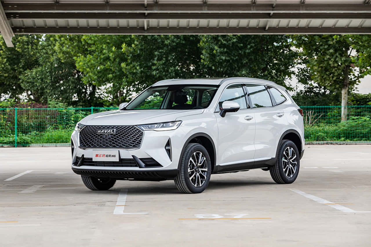 Haval 桌布 壁紙 — 一輛時尚的白色哈弗SUV停放在金屬車棚下，背景有綠樹。