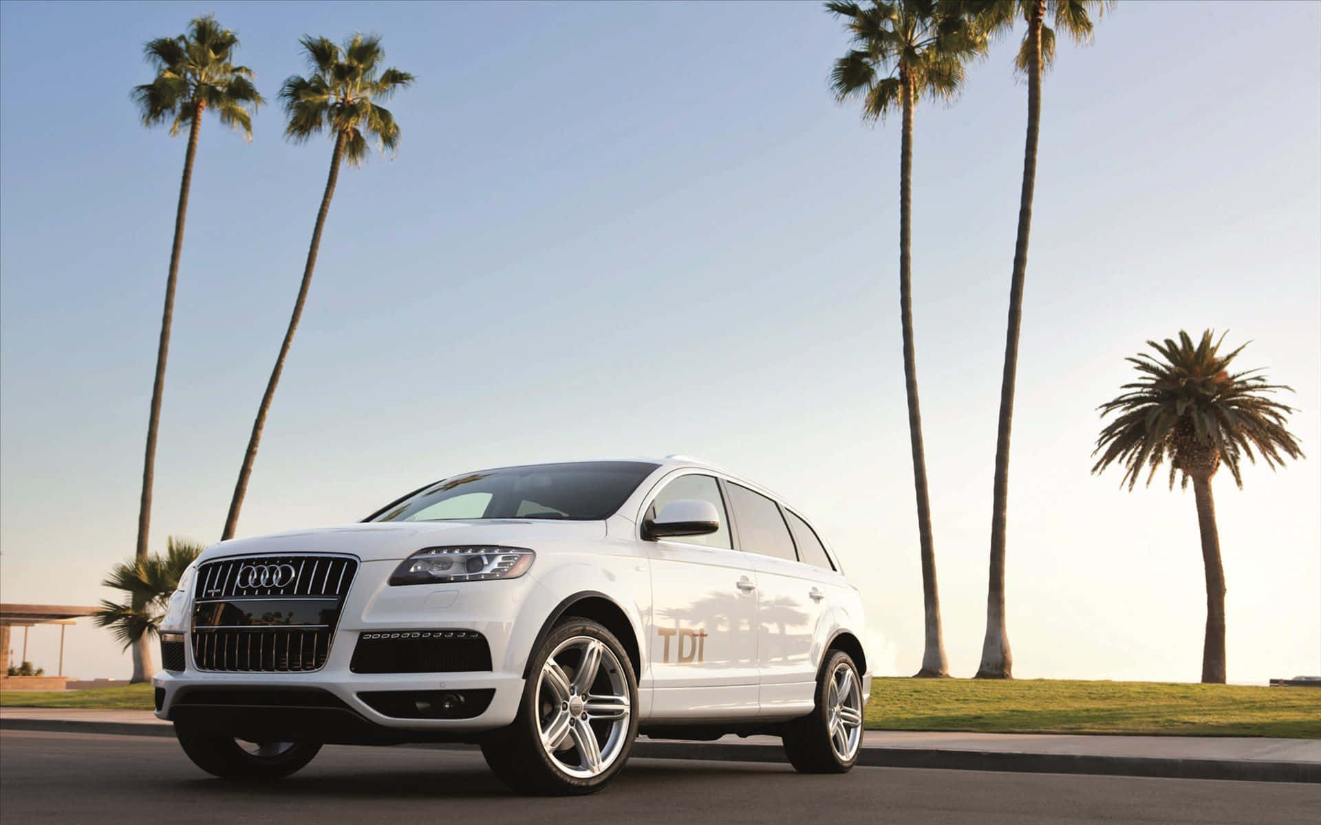Audi Q7 桌布 壁紙 — 一輛時尚的白色奧迪Q7 SUV停在棕櫚樹成蔭的街道上，背景是金色時刻的清澈藍天。