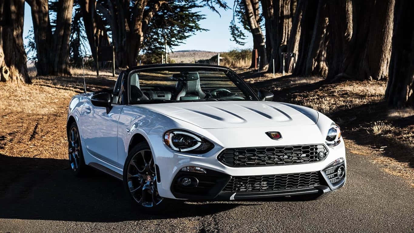 Fiat 124 Spider 桌布 壁紙 — 一輛時尚的白色敞篷跑車停放在陽光普照的林蔭大道上。