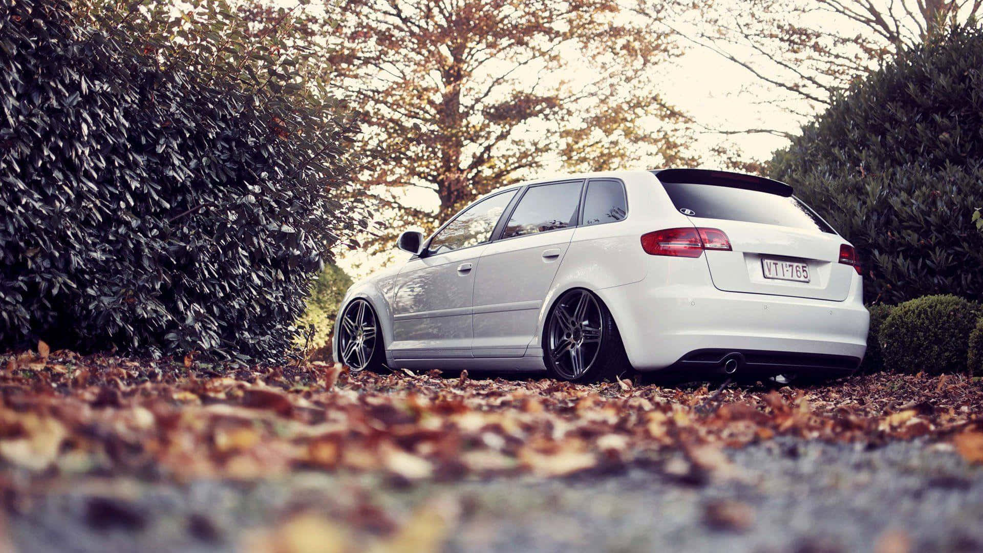 Audi A3 桌布 壁紙 — 一輛時尚的白色旅行車停泊在碎石路上，周圍是秋葉和茂密的樹籬，在柔和的光線下。