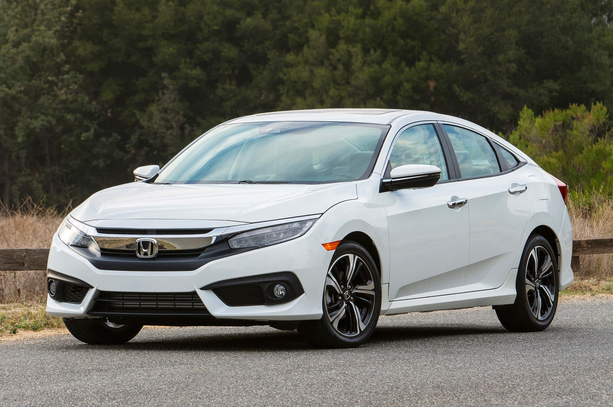 Honda Civic 桌布 壁紙 — 一輛時尚的白色本田思域轎車停在柏油路上，背景有綠樹。
