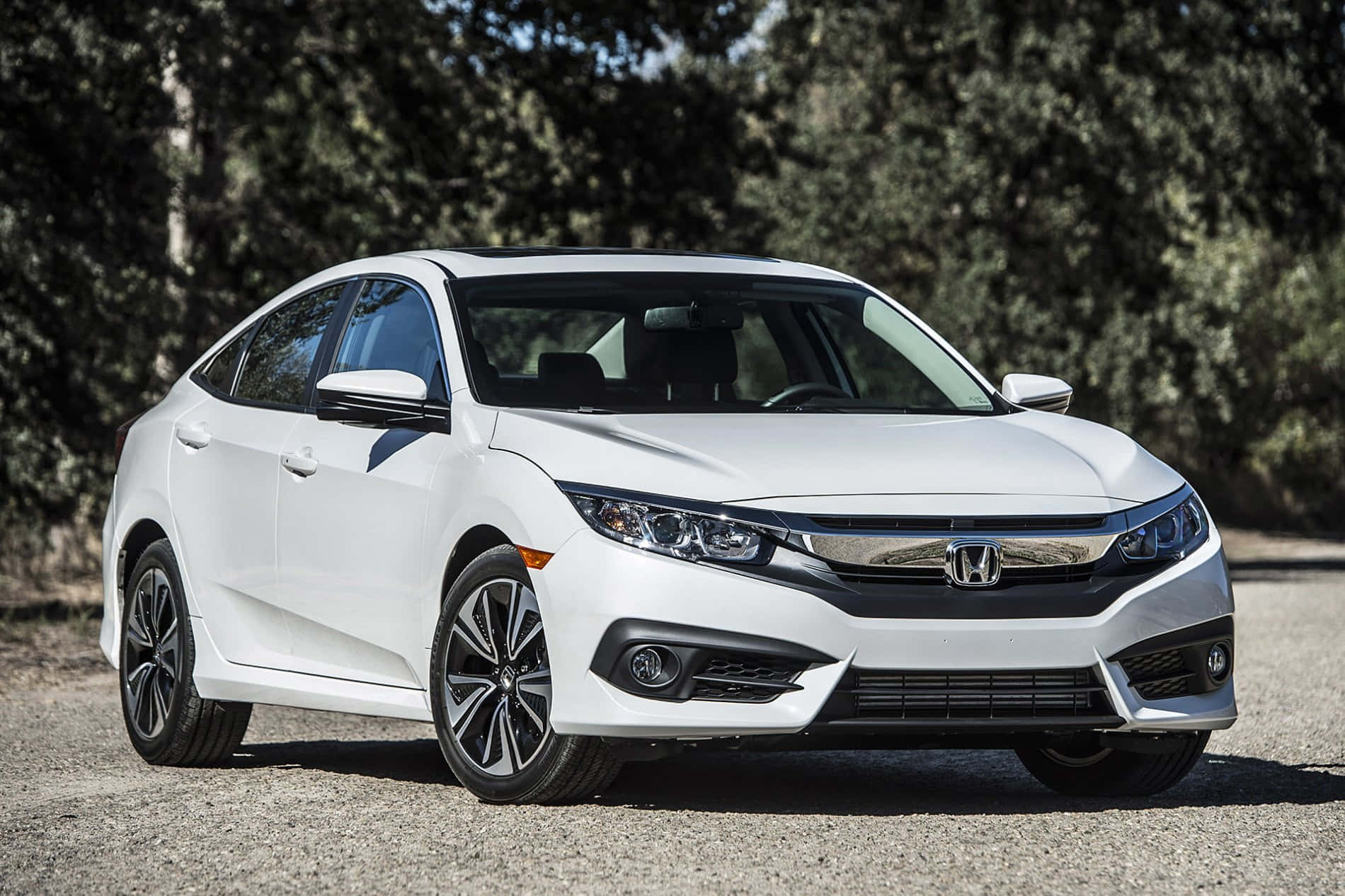 Honda Civic 桌布 壁紙 — 一輛時尚的白色本田思域轎車停在碎石路上，背景有樹木，在明亮的日光下。