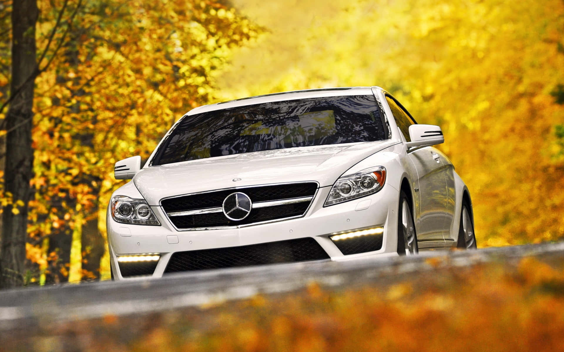Mercedes 桌布 壁紙 — 一輛時尚的白色梅賽德斯-奔馳 CLS 轎跑車行駛在被鮮豔金黃秋葉環繞的林間道路上。