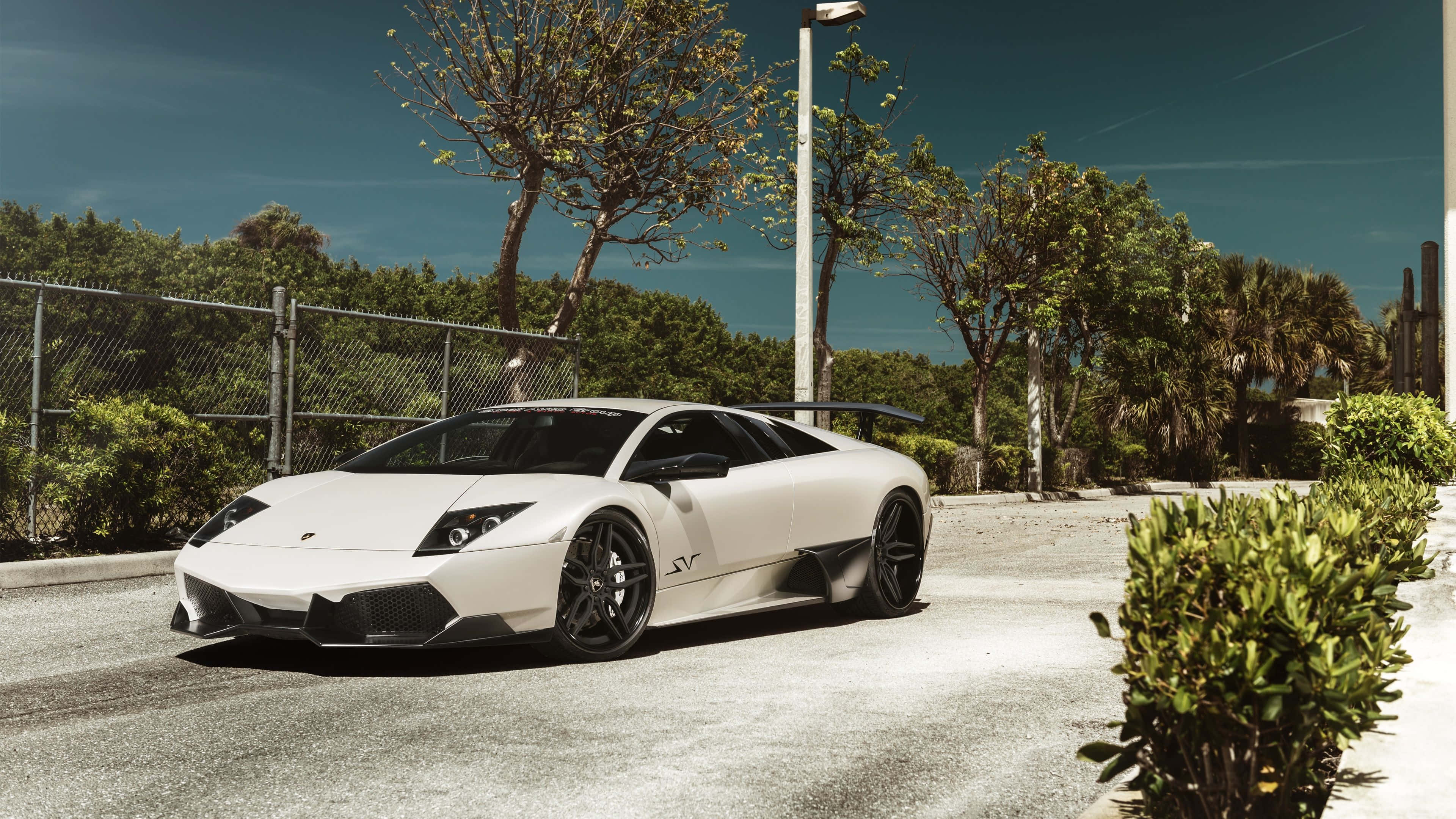 Lamborghini Murciélago 桌布 壁紙 — 一輛時尚的白色藍寶堅尼Reventon跑車停放在陽光普照的瀝青停車場，周圍環繞著綠化和鐵絲網圍欄。