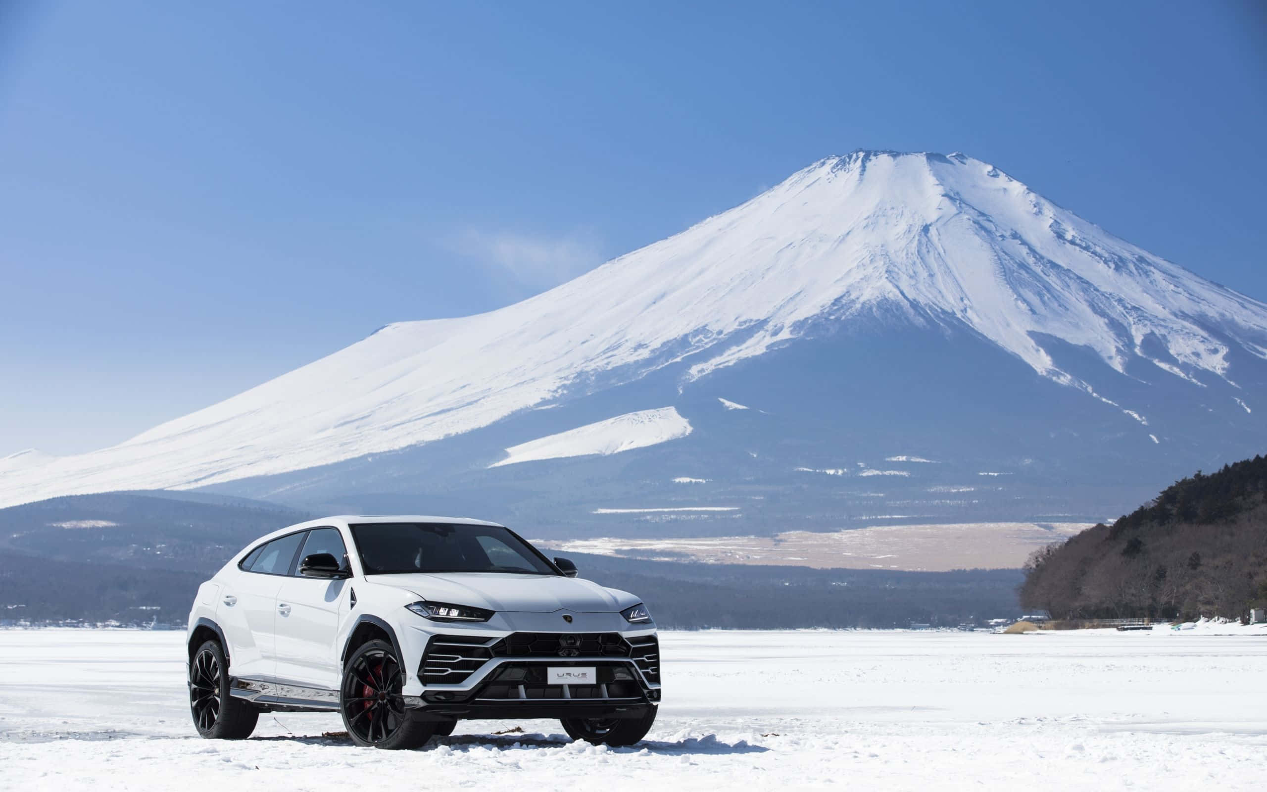 Lamborghini Urus 桌布 壁紙 — 一輛時尚的白色藍寶堅尼Urus停在結冰的湖面上，背後有積雪的富士山在晴朗藍天下雄偉聳立。
