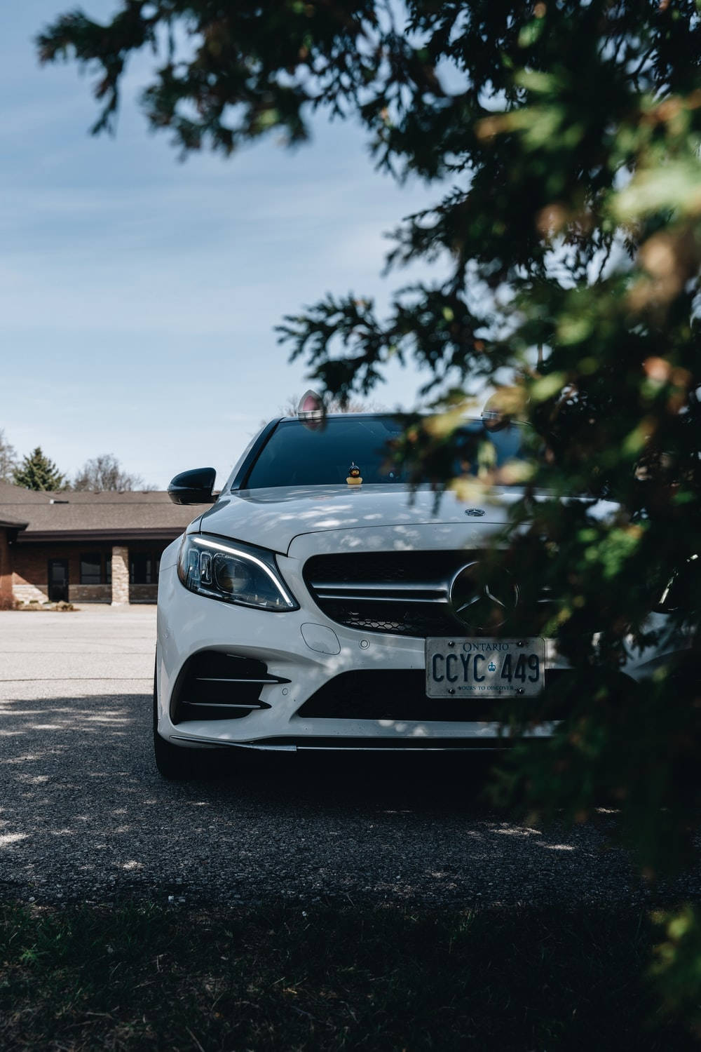 Mercedes Benz C300 桌布 壁紙 — 一輛時尚的白色賓士轎車停放在碎石車道上，部分被茂密的綠色樹枝環繞，背景是晴朗的藍天。