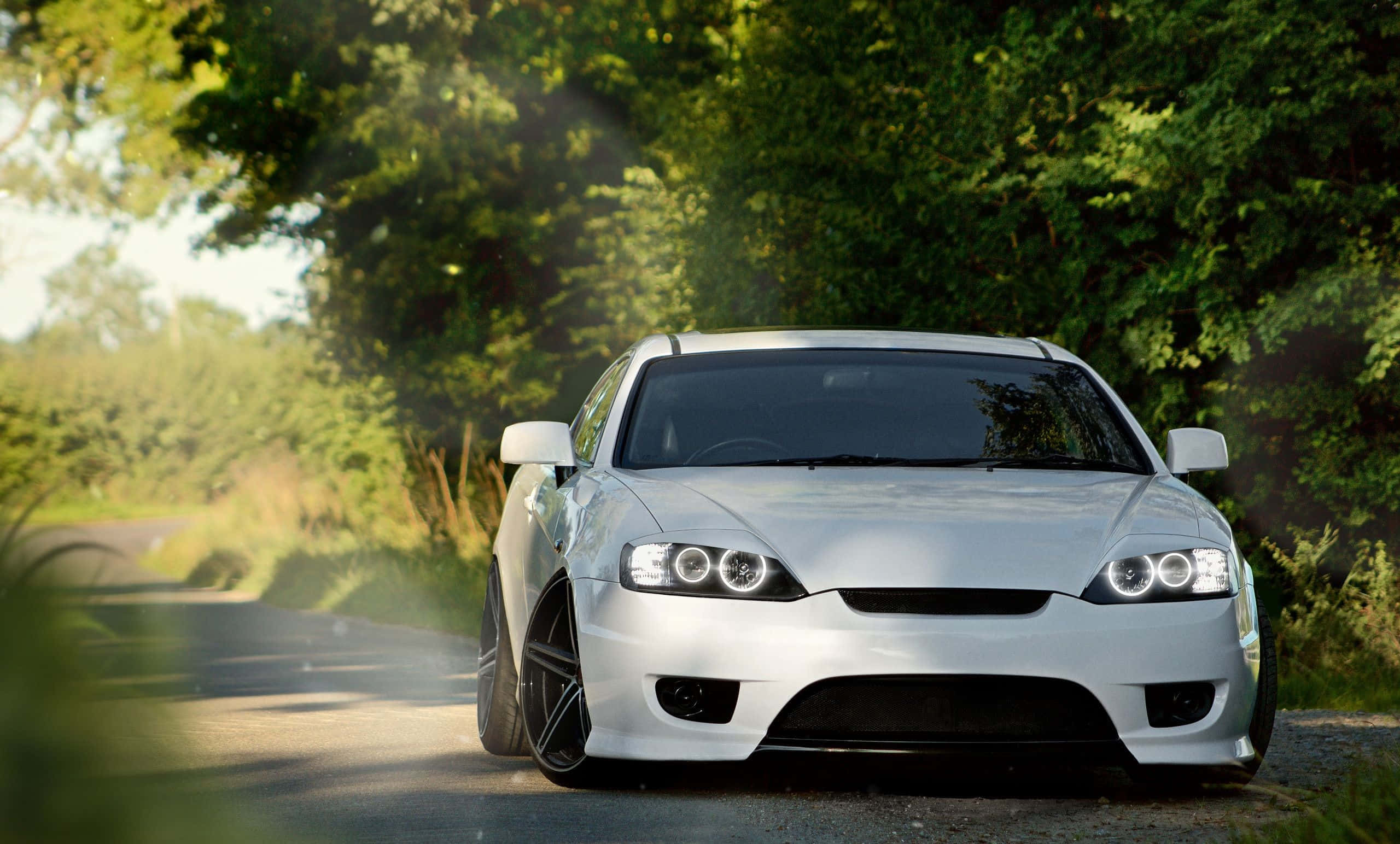 Hyundai Tiburon 桌布 壁紙 — 一輛時尚的白色跑車，車頭燈閃爍，行駛在陽光明媚的森林道路上，周圍是茂密的綠樹。