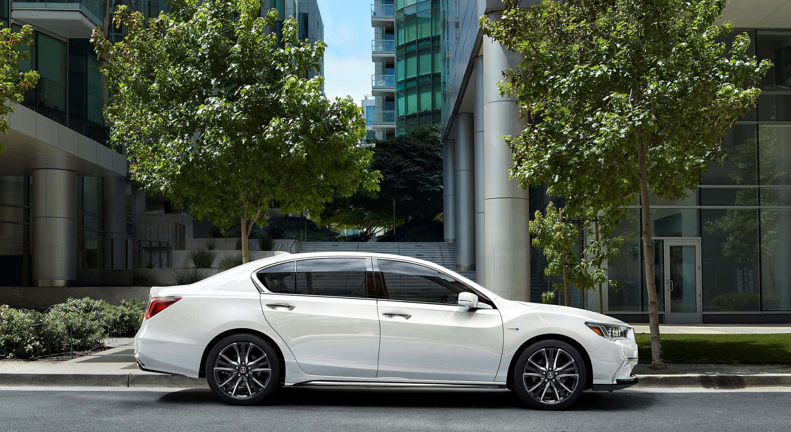 Acura Rlx 桌布 壁紙 — 一輛時尚的白色轎車停泊在綠樹成蔭、現代玻璃建築林立的城市街道上，天空湛藍清澈。