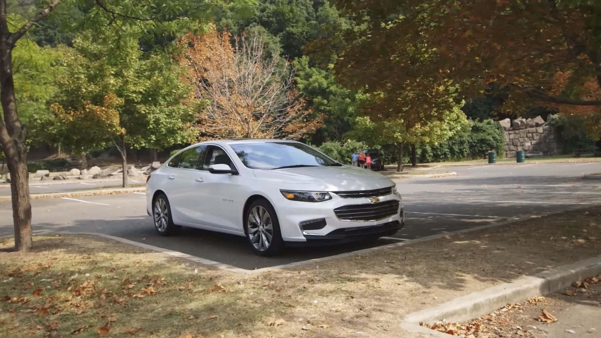 Chevy Malibu 桌布 壁紙 — 一輛時尚的白色雪佛蘭 Malibu 停泊在陽光普照的停車場，周圍是落葉紛飛的秋樹。