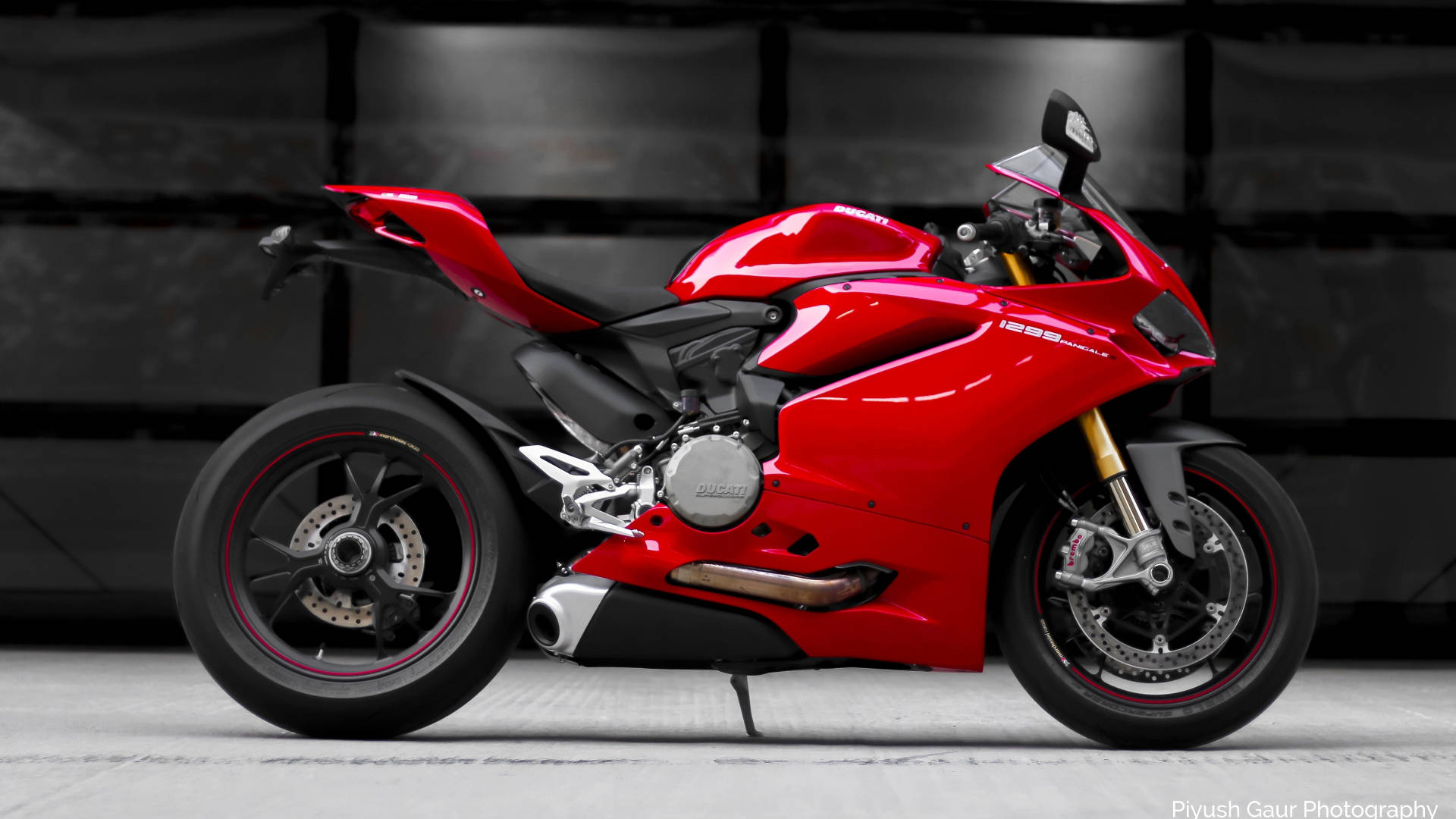 杜卡迪 桌布 壁紙 — 一輛時尚的紅色Ducati摩托車，帶有黑色點綴和金色前叉，在極簡主義的攝影棚環境中屹立。