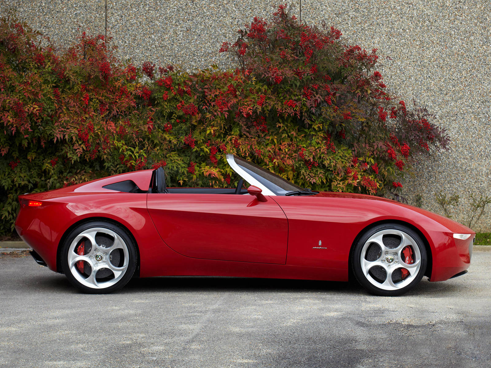 alfa romeo iPhone 桌布 壁紙 — 一輛時尚的紅色愛快羅密歐Spider敞篷車停在充滿活力的紅葉灌木旁，背景是紋理牆壁。