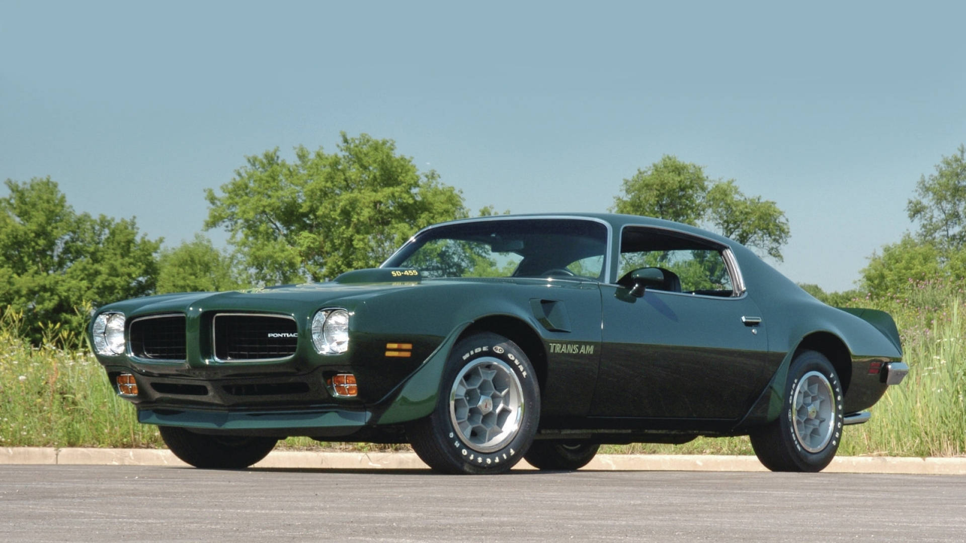 Pontiac 桌布 壁紙 — 一輛時尚的綠色龐蒂亞克火鳥肌肉車停在柏油路上，背景有樹木和晴朗的藍天。